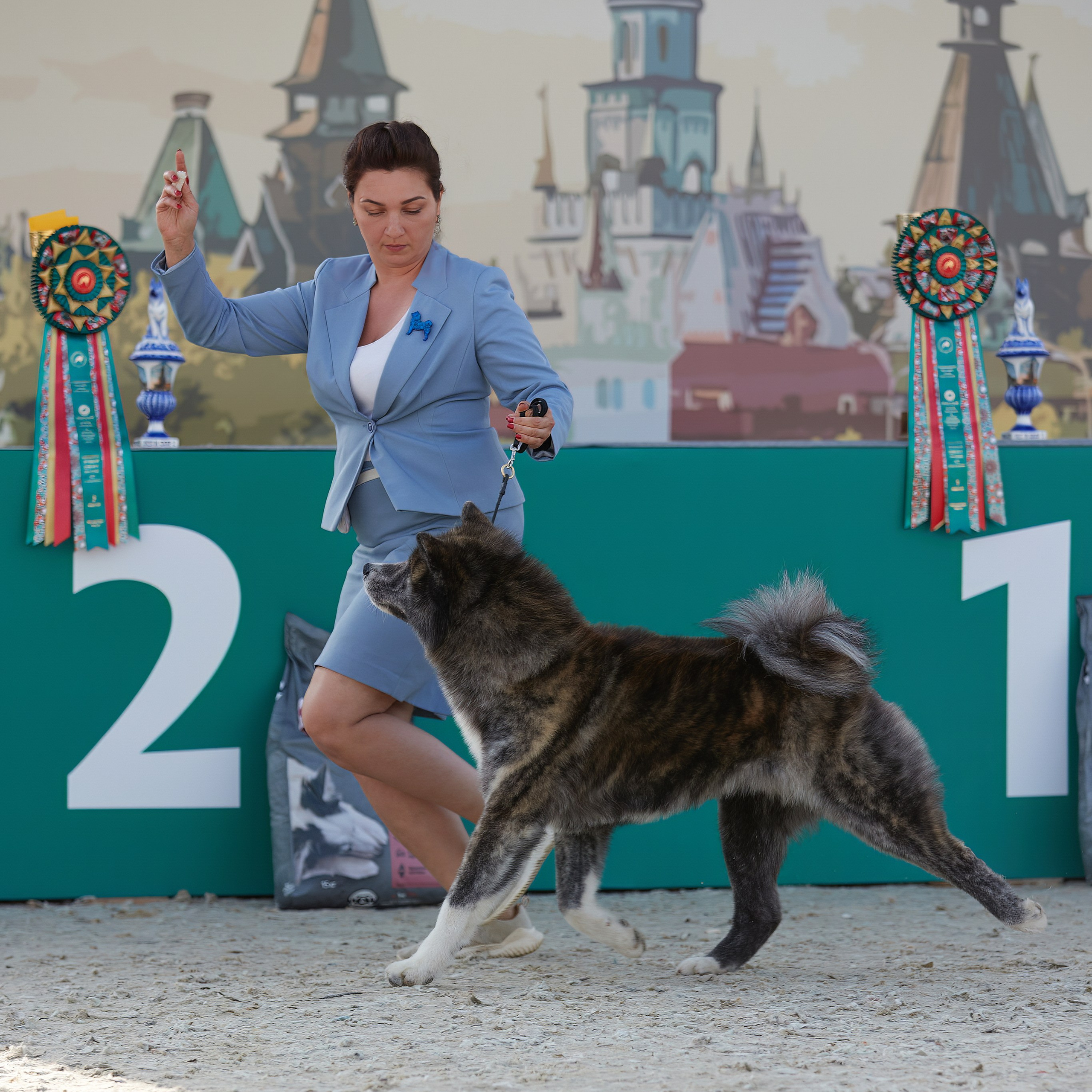 «Россия. Кубок РКФ 2024» и «Россия. Кубок Москвы 2024». ФОТОГРАФ-АНИМАЛИСТ l LANA POLYAKOVA