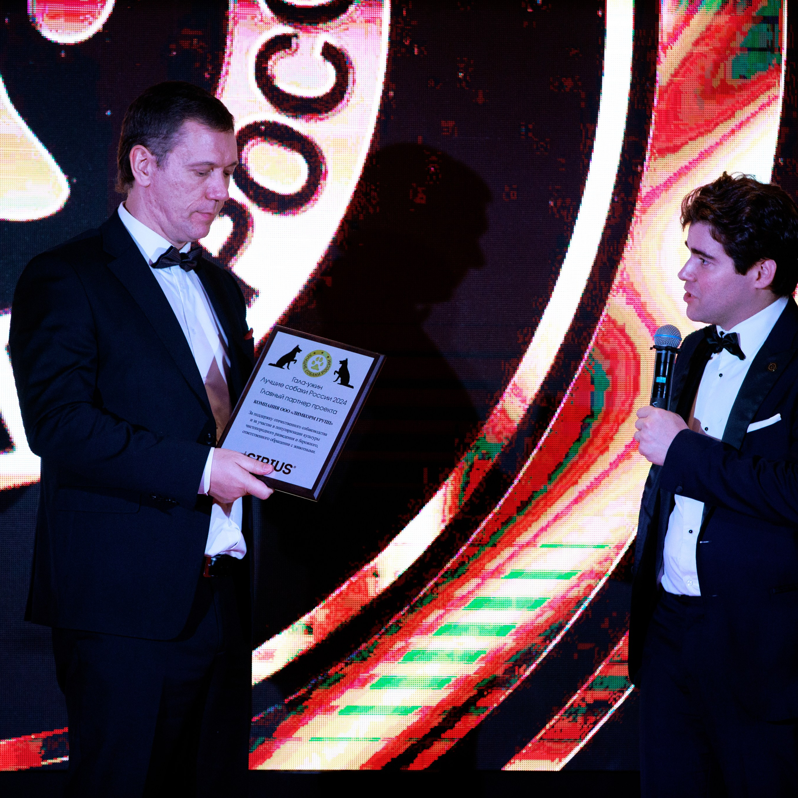 Репортаж с церемонии «BEST RUSSIAN DOG 2024». ФОТОГРАФ-АНИМАЛИСТ l LANA POLYAKOVA