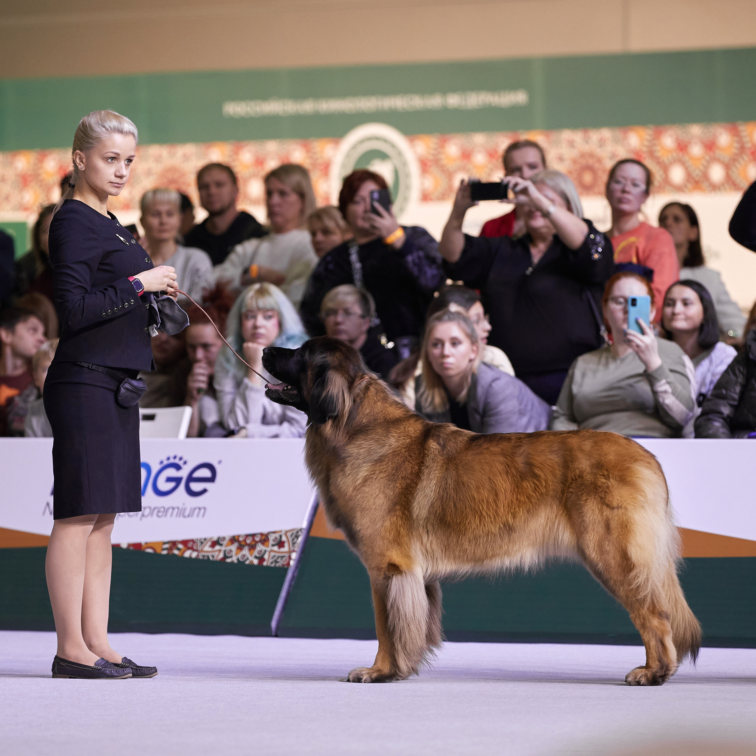 «Россия» в Крокусе. ФОТОГРАФ-АНИМАЛИСТ l LANA POLYAKOVA
