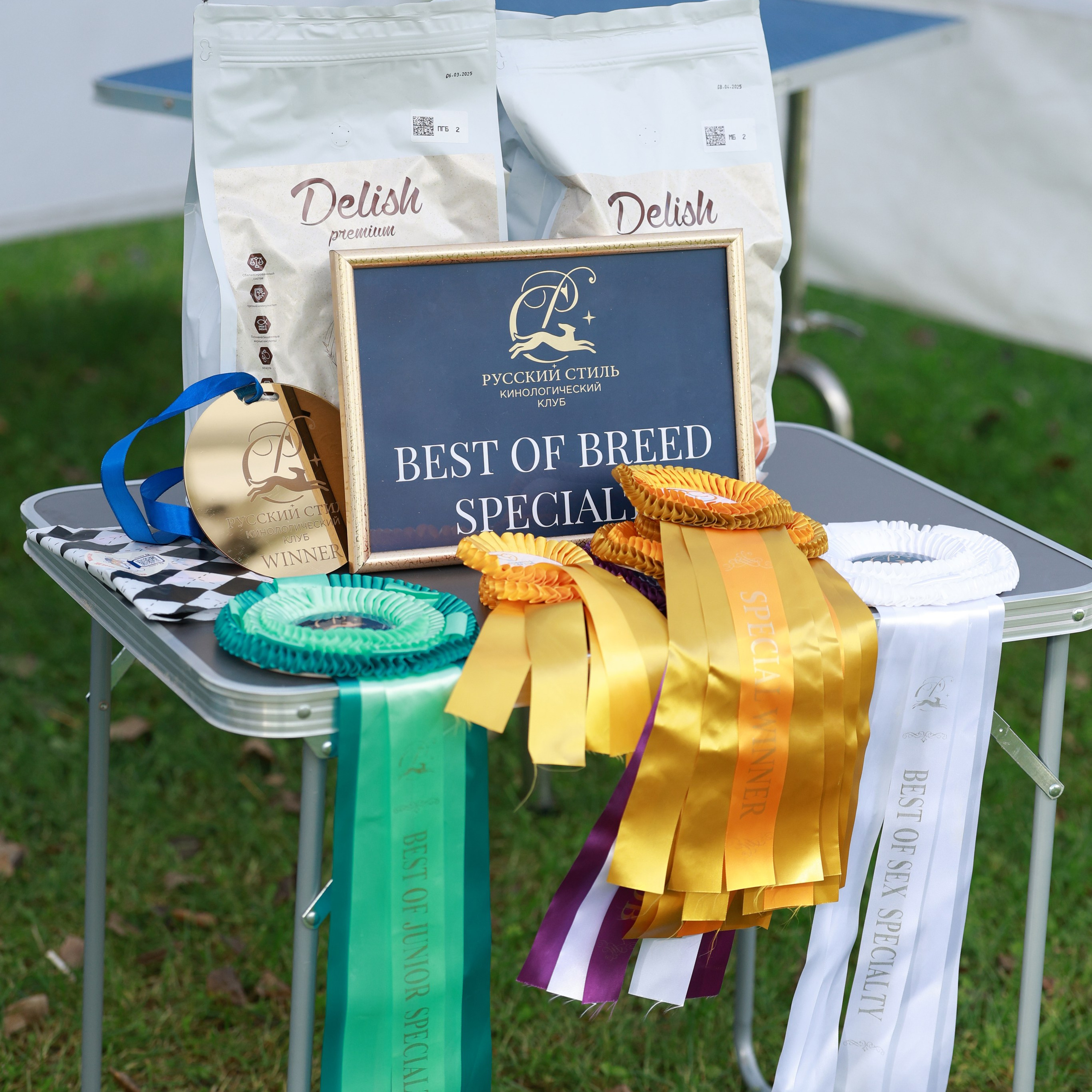27-28.09.2025 ВЫСТАВКИ СОБАК ВСЕХ ПОРОД (САС, ЧРКФ, ЧФ). ФОТОГРАФ-АНИМАЛИСТ l LANA POLYAKOVA