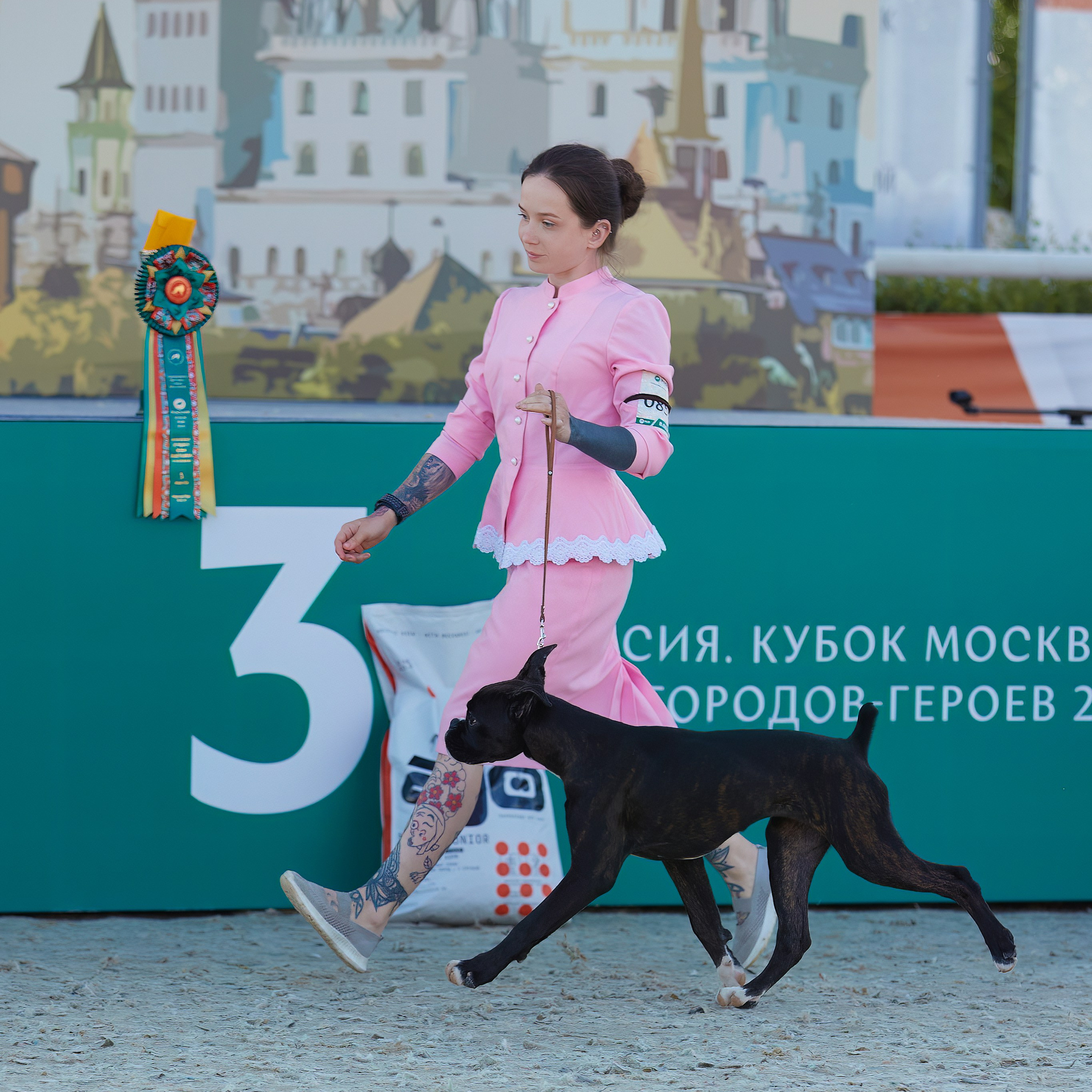 «Россия. Кубок РКФ 2024» и «Россия. Кубок Москвы 2024». ФОТОГРАФ-АНИМАЛИСТ l LANA POLYAKOVA