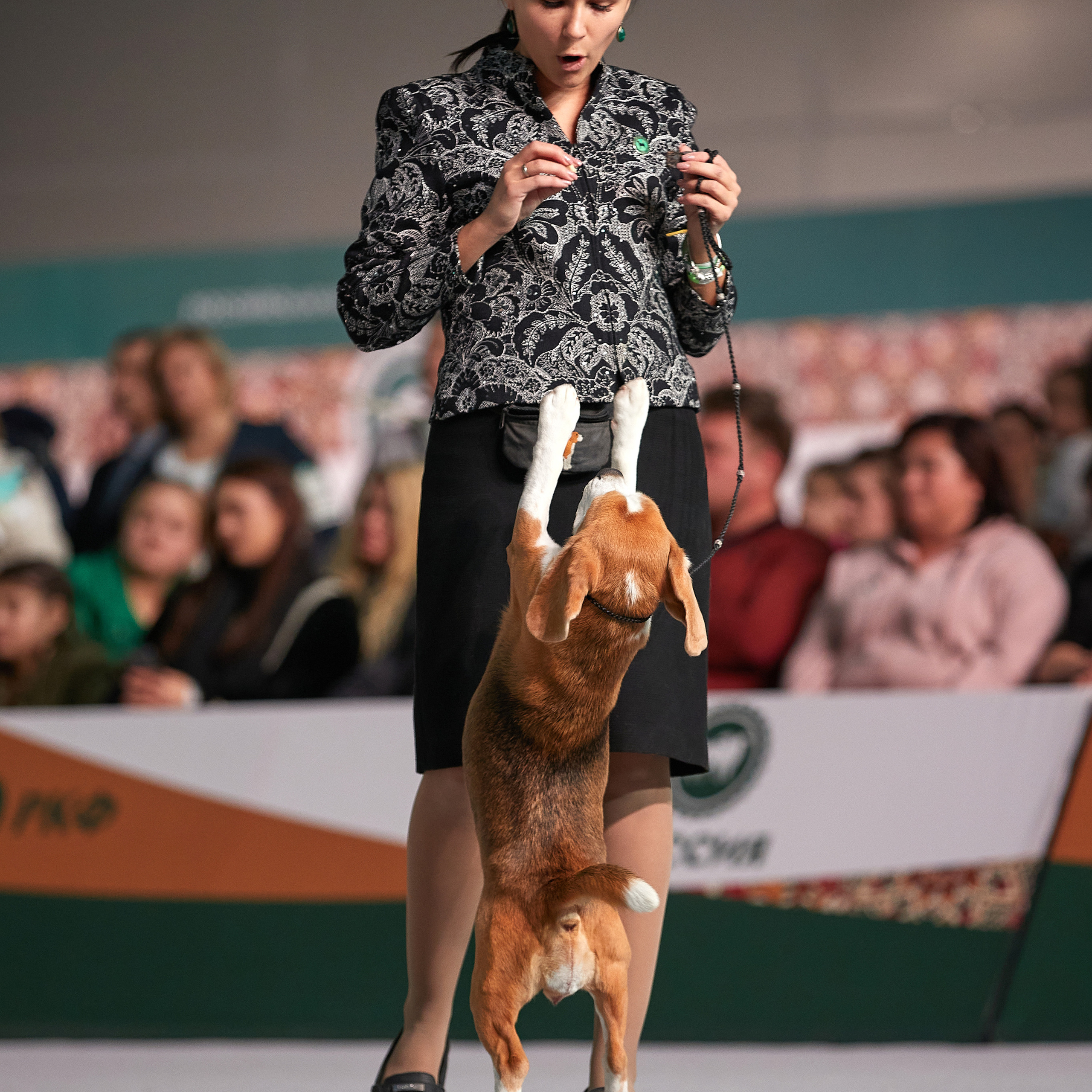 «Россия» в Крокусе. ФОТОГРАФ-АНИМАЛИСТ l LANA POLYAKOVA