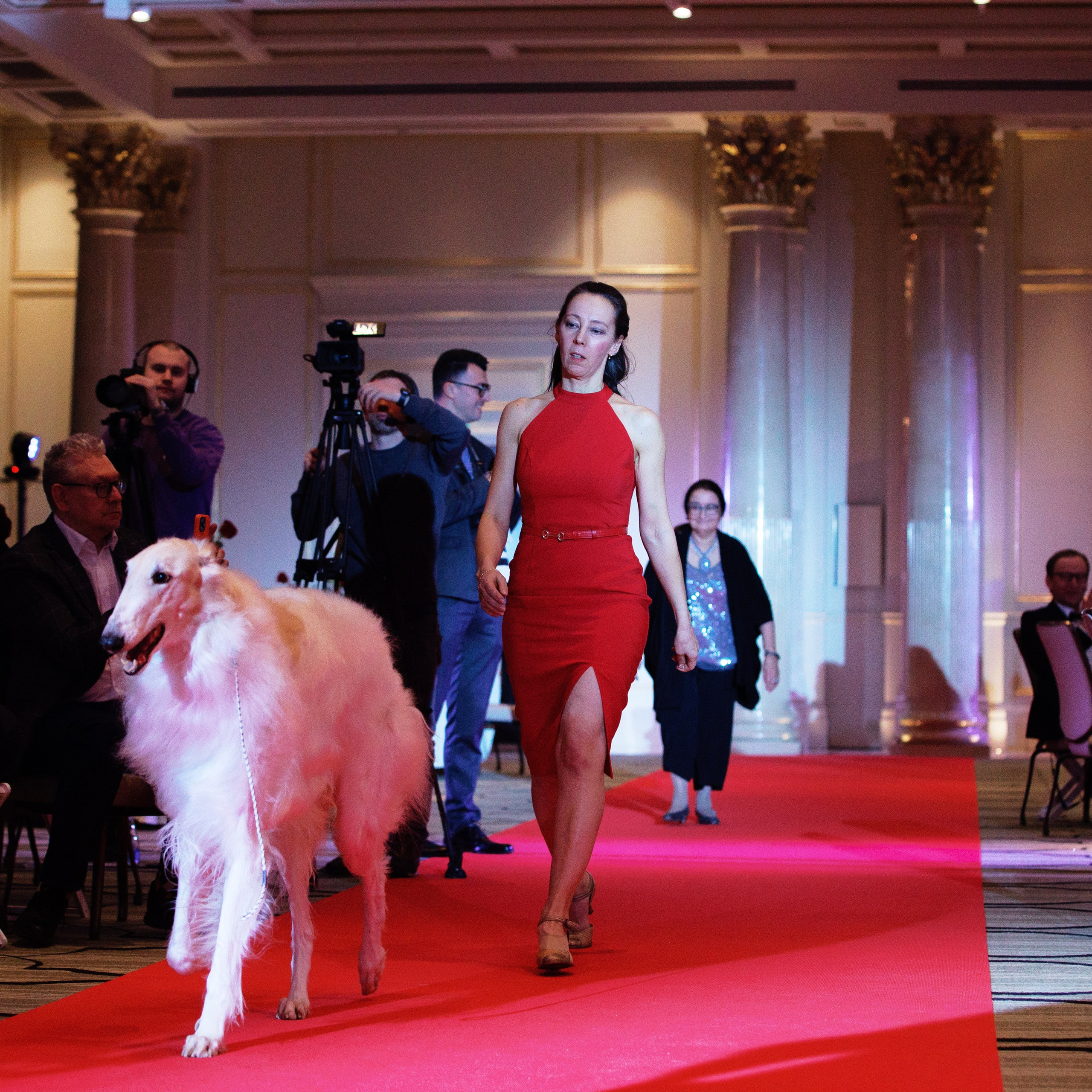 Репортаж с церемонии «BEST RUSSIAN DOG 2024». ФОТОГРАФ-АНИМАЛИСТ l LANA POLYAKOVA