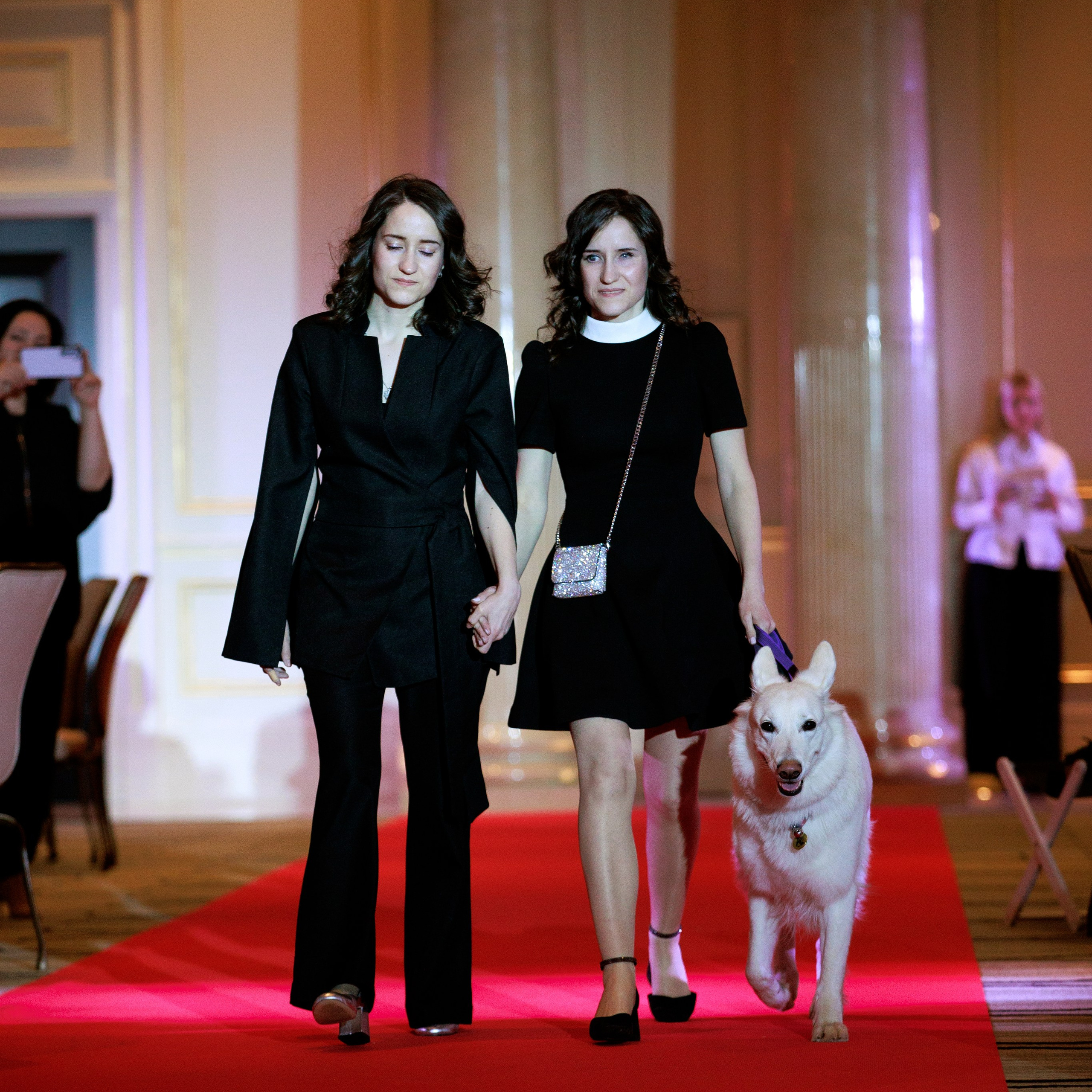 Репортаж с церемонии «BEST RUSSIAN DOG 2024». ФОТОГРАФ-АНИМАЛИСТ l LANA POLYAKOVA