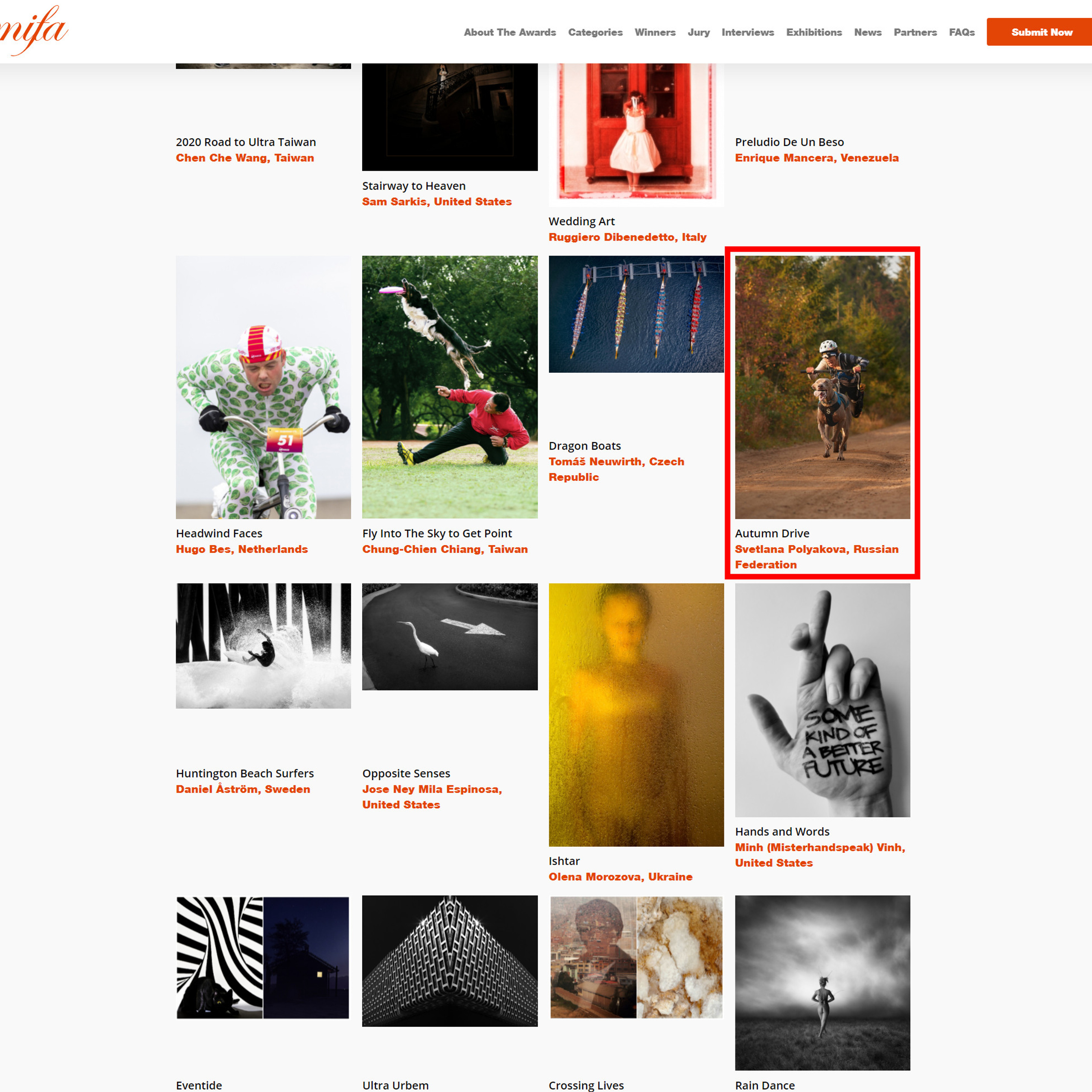 MIFA 2021 Winners. ФОТОГРАФ-АНИМАЛИСТ l LANA POLYAKOVA