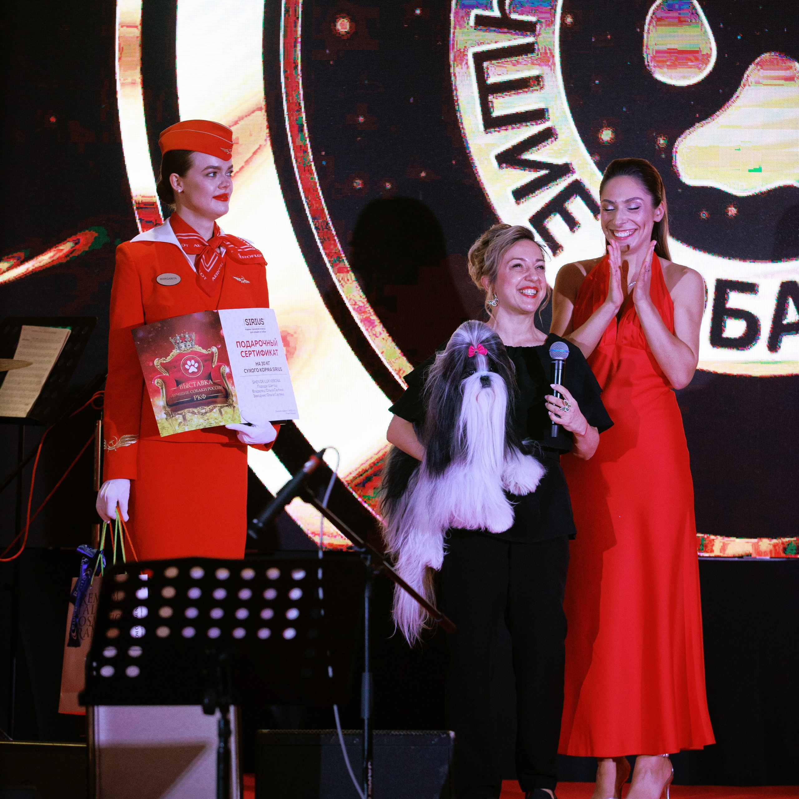 Репортаж с церемонии «BEST RUSSIAN DOG 2024». ФОТОГРАФ-АНИМАЛИСТ l LANA POLYAKOVA