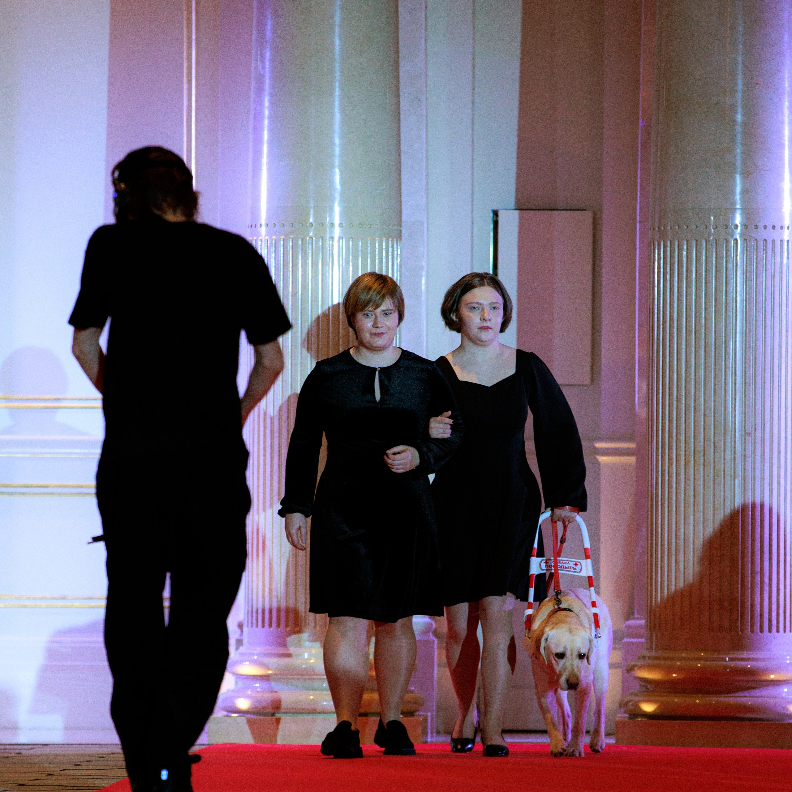 Репортаж с церемонии «BEST RUSSIAN DOG 2024». ФОТОГРАФ-АНИМАЛИСТ l LANA POLYAKOVA