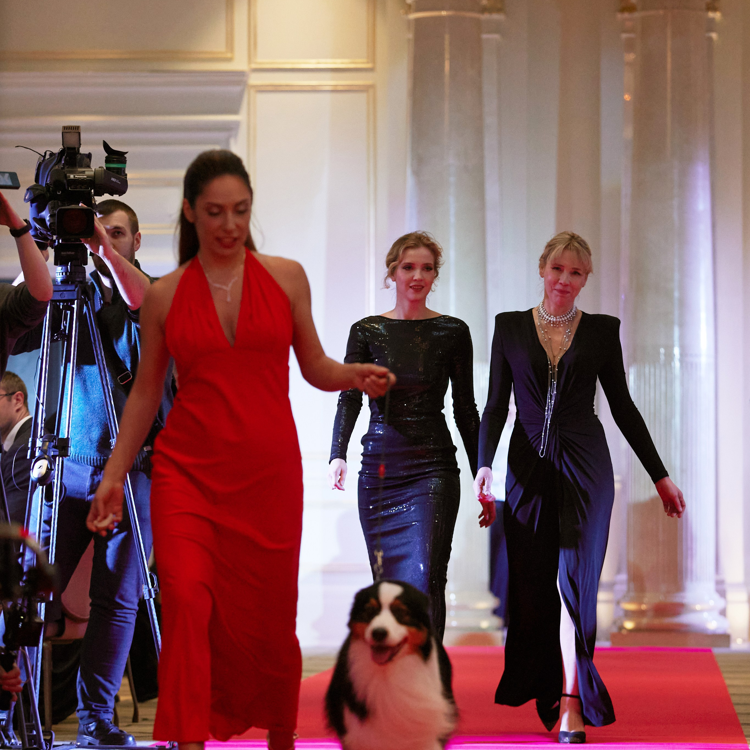 Репортаж с церемонии «BEST RUSSIAN DOG 2024». ФОТОГРАФ-АНИМАЛИСТ l LANA POLYAKOVA