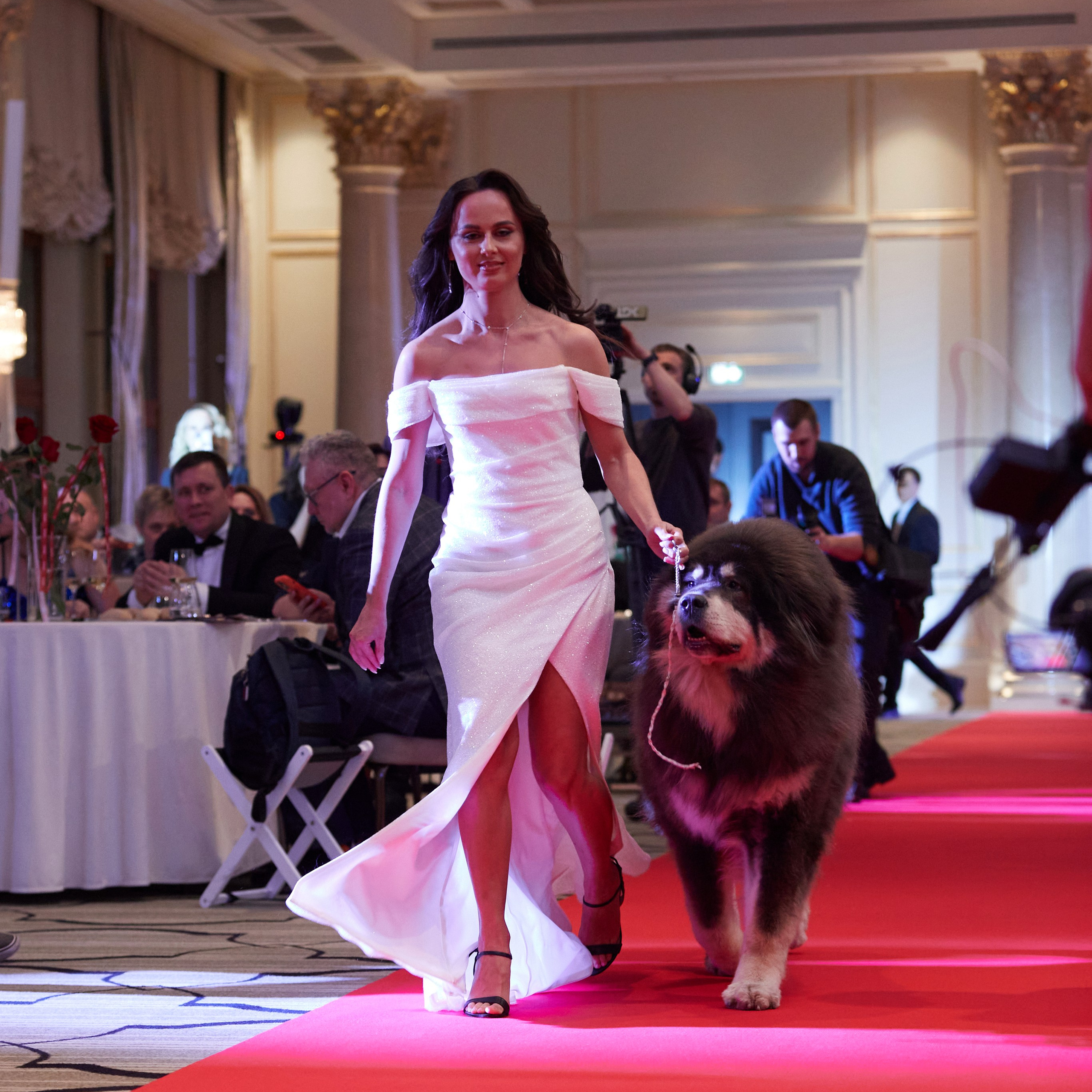 Репортаж с церемонии «BEST RUSSIAN DOG 2024». ФОТОГРАФ-АНИМАЛИСТ l LANA POLYAKOVA