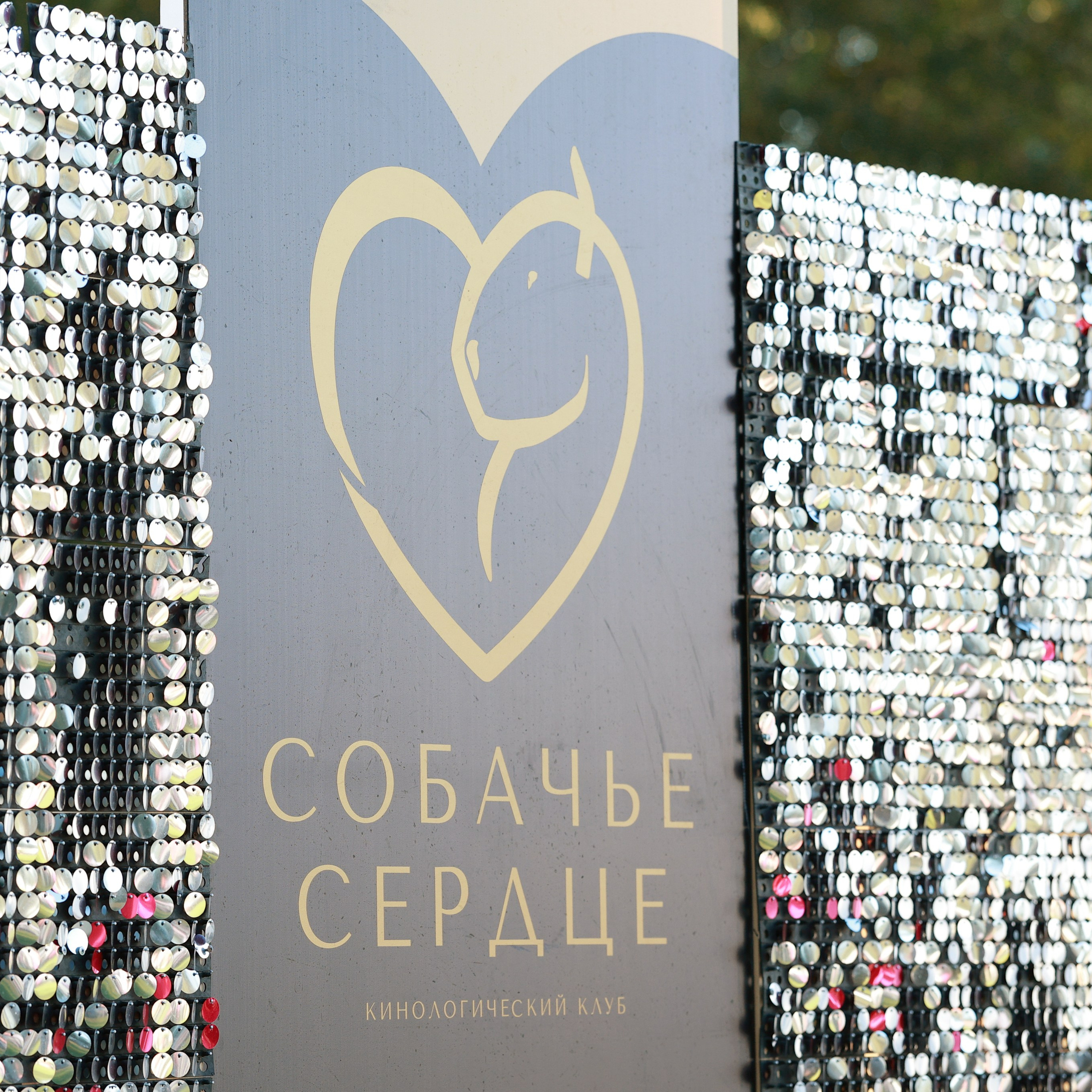 27-28.09.2025 ВЫСТАВКИ СОБАК ВСЕХ ПОРОД (САС, ЧРКФ, ЧФ). ФОТОГРАФ-АНИМАЛИСТ l LANA POLYAKOVA