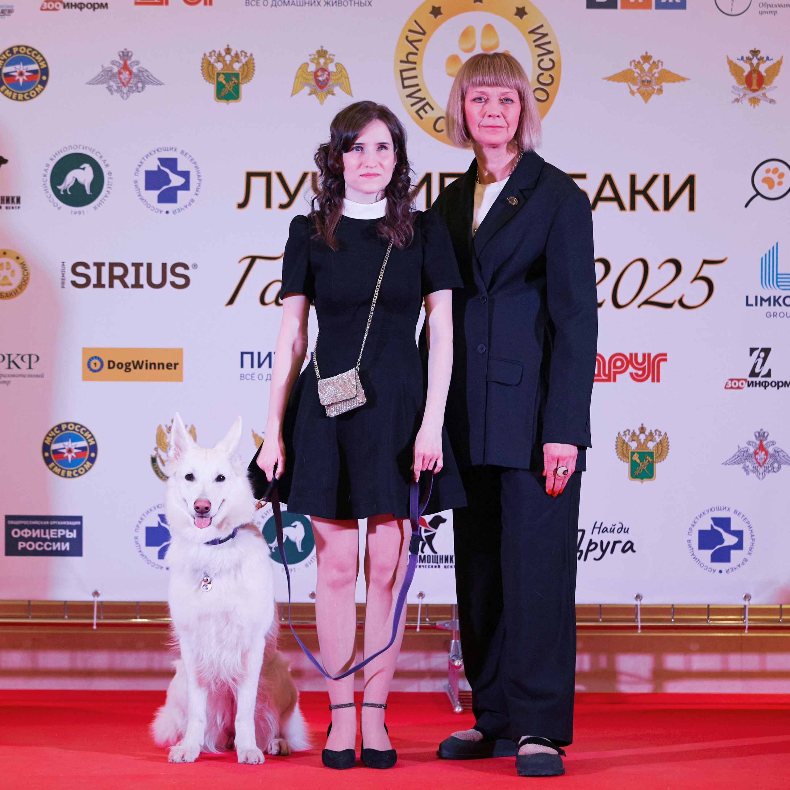 Репортаж с церемонии «BEST RUSSIAN DOG 2024». ФОТОГРАФ-АНИМАЛИСТ l LANA POLYAKOVA