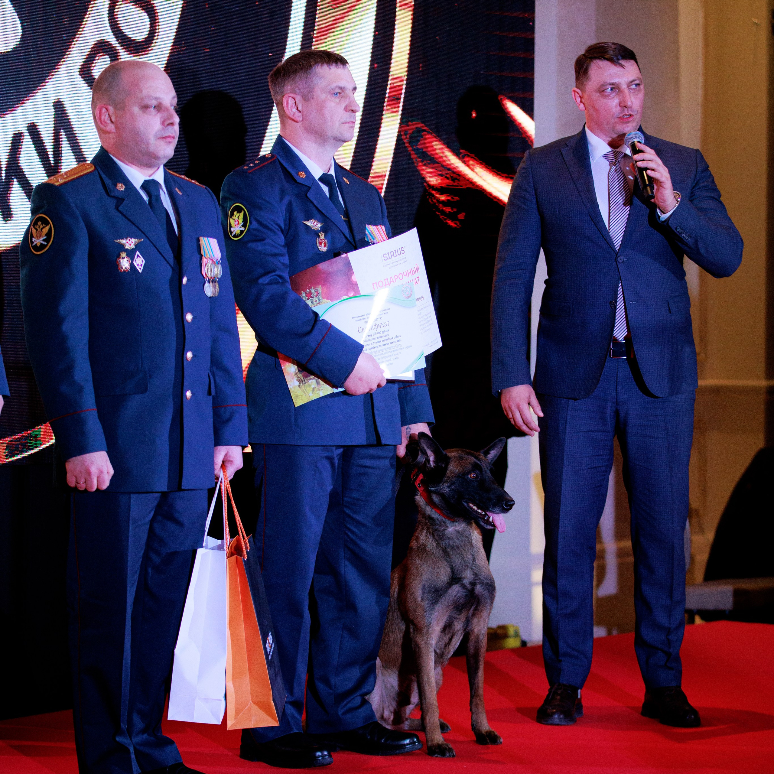 Репортаж с церемонии «BEST RUSSIAN DOG 2024». ФОТОГРАФ-АНИМАЛИСТ l LANA POLYAKOVA