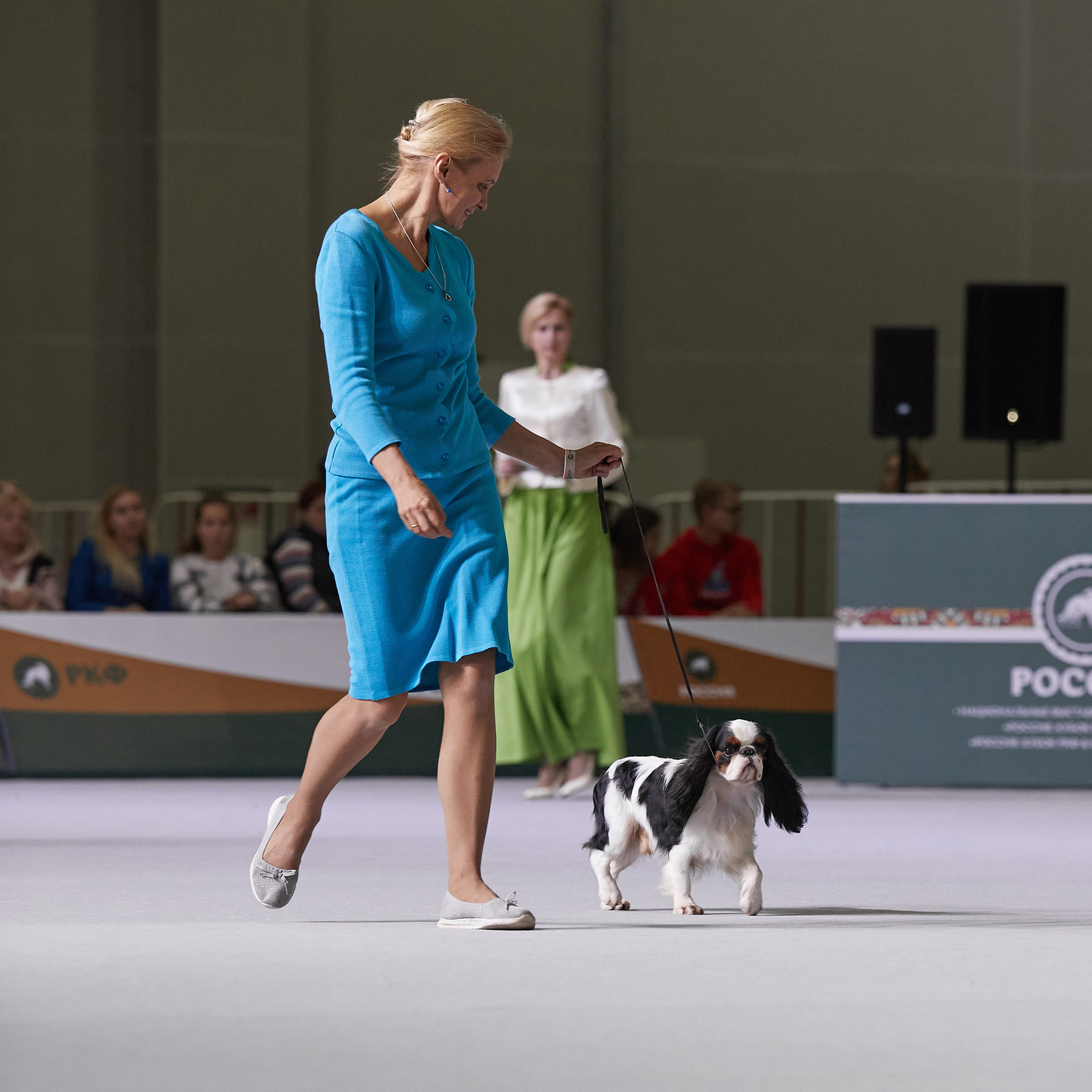 «Россия» в Крокусе. ФОТОГРАФ-АНИМАЛИСТ l LANA POLYAKOVA