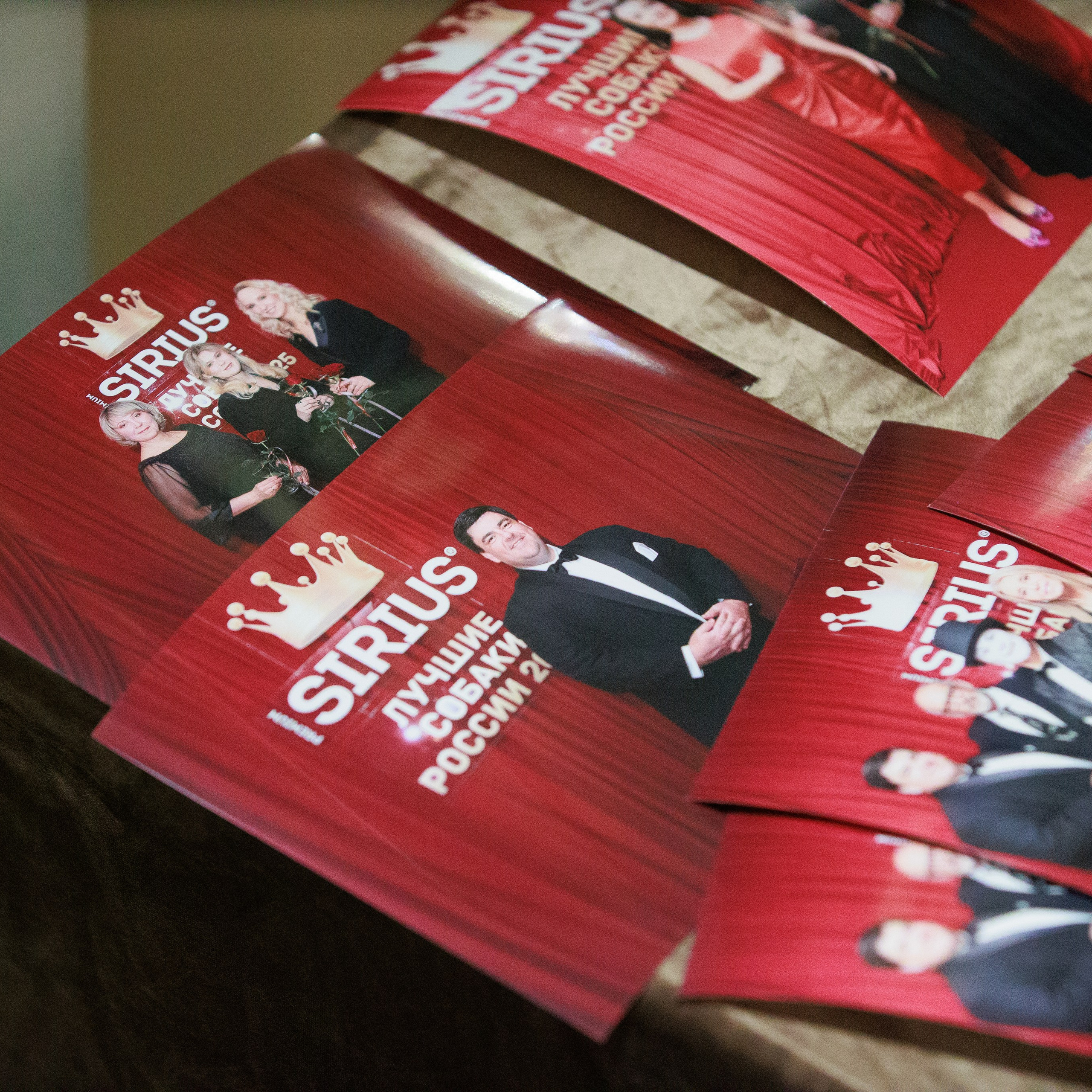 Репортаж с церемонии «BEST RUSSIAN DOG 2024». ФОТОГРАФ-АНИМАЛИСТ l LANA POLYAKOVA