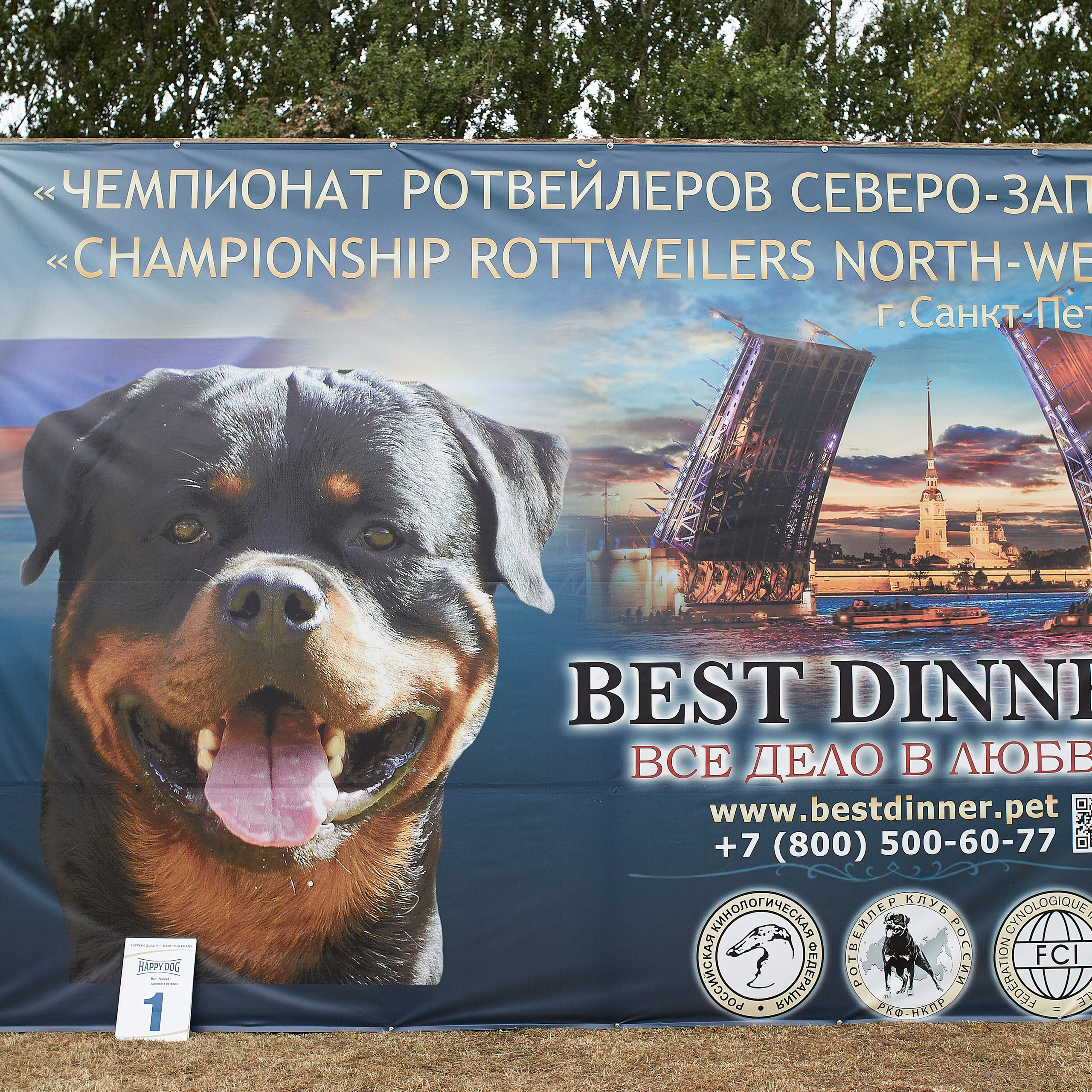 РЕПОРТАЖ МОНО РОТВЕЙЛЕРОВ «ЧЕМПИОНАТ СЕВЕРО-ЗАПАДА». ФОТОГРАФ-АНИМАЛИСТ l LANA POLYAKOVA