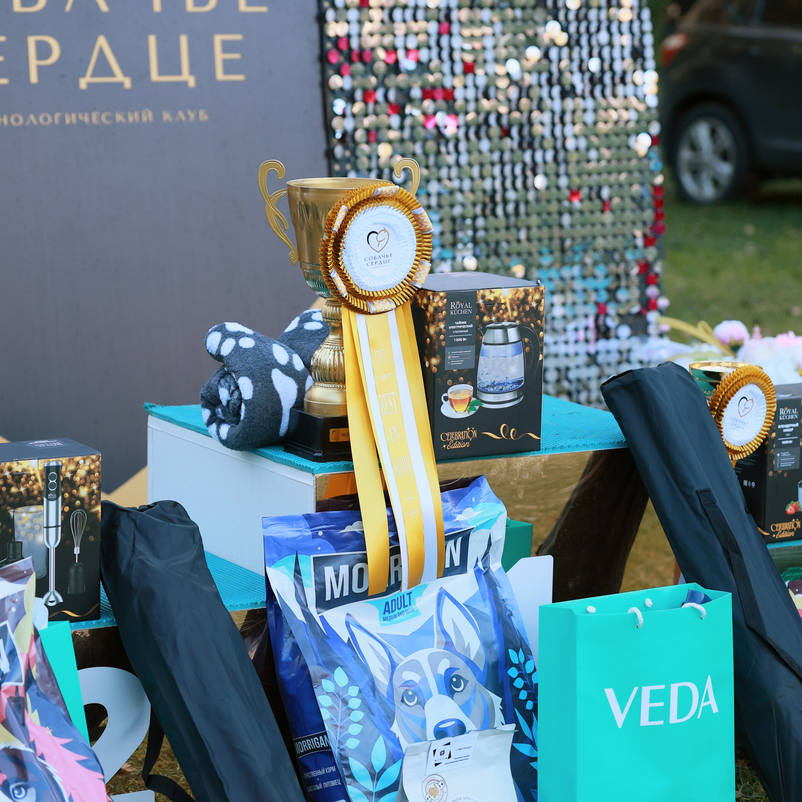 27-28.09.2025 ВЫСТАВКИ СОБАК ВСЕХ ПОРОД (САС, ЧРКФ, ЧФ). ФОТОГРАФ-АНИМАЛИСТ l LANA POLYAKOVA