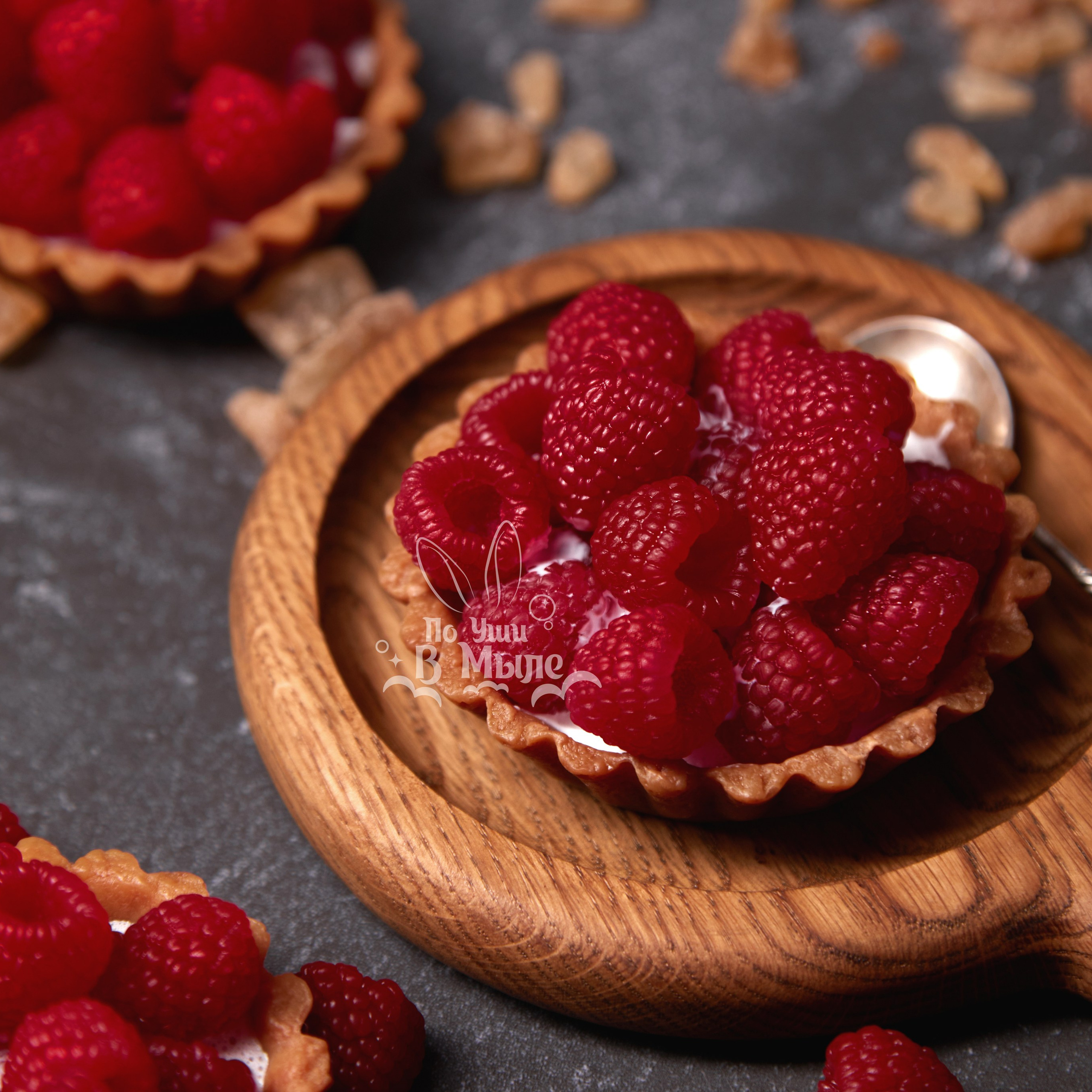 Логотип для мастерской необычного мыла. ФОТОГРАФ-АНИМАЛИСТ l LANA POLYAKOVA