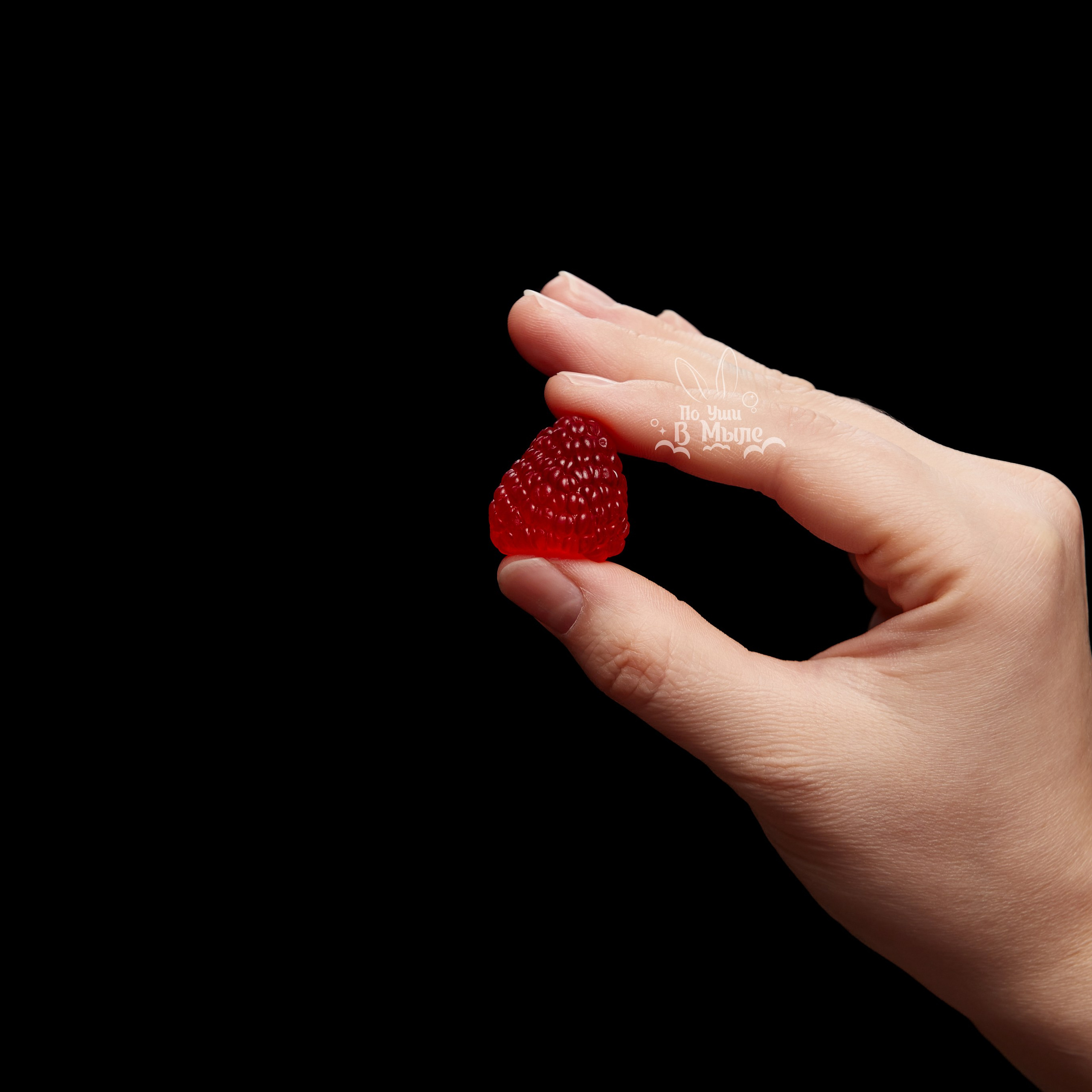 Логотип для мастерской необычного мыла. ФОТОГРАФ-АНИМАЛИСТ l LANA POLYAKOVA