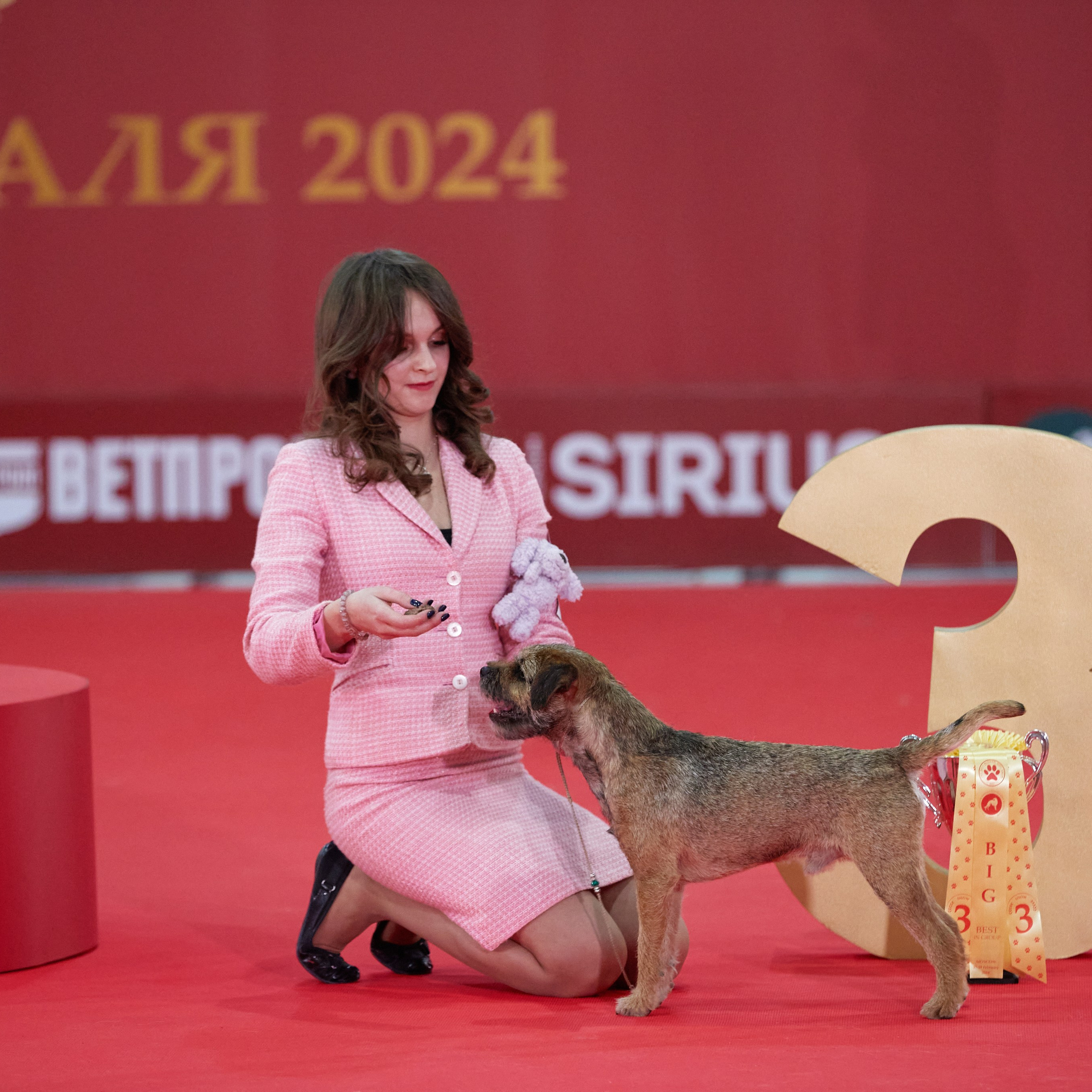 Новое шоу чемпионов «ЛУЧШИЕ СОБАКИ РОССИИ». ФОТОГРАФ-АНИМАЛИСТ l LANA POLYAKOVA