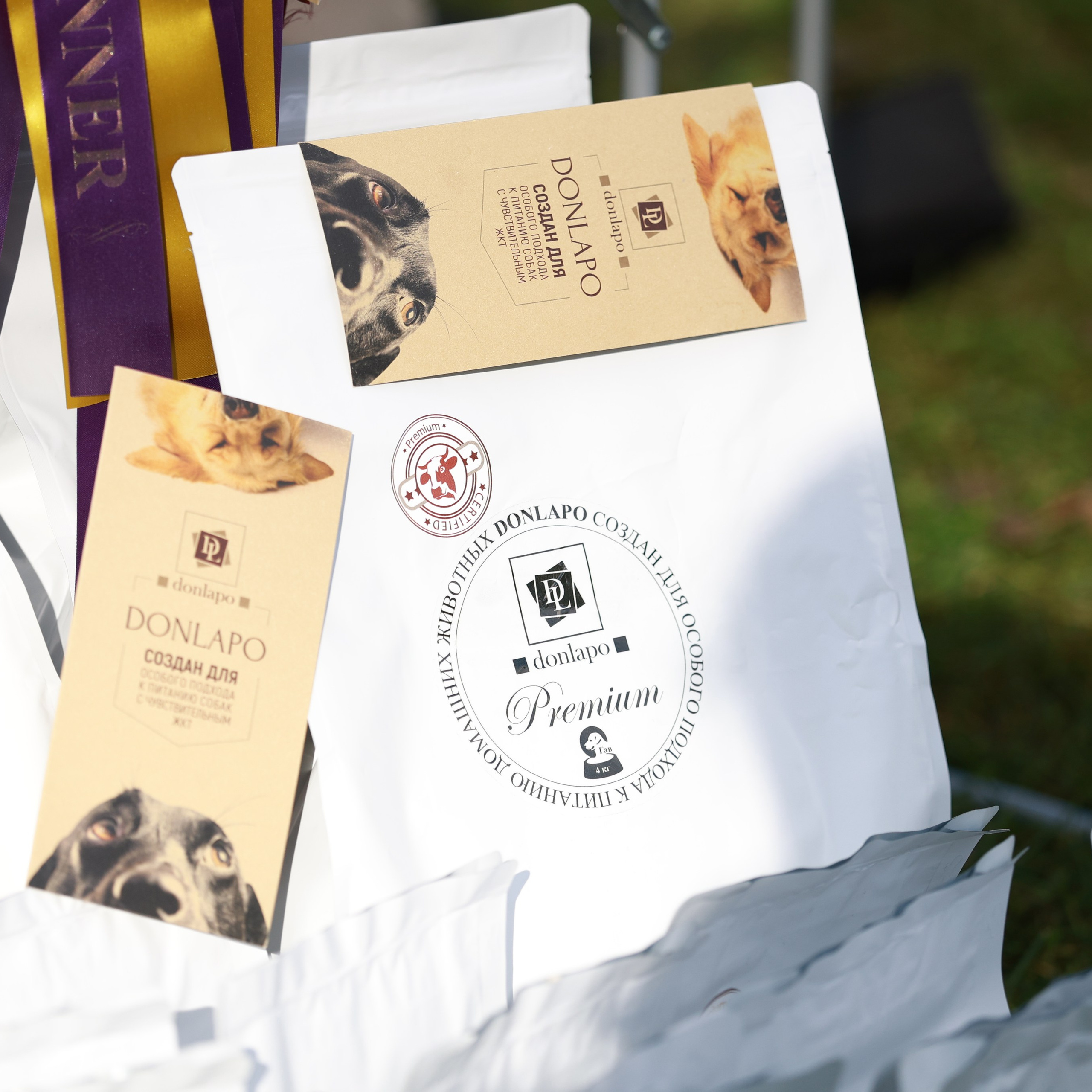 27-28.09.2025 ВЫСТАВКИ СОБАК ВСЕХ ПОРОД (САС, ЧРКФ, ЧФ). ФОТОГРАФ-АНИМАЛИСТ l LANA POLYAKOVA