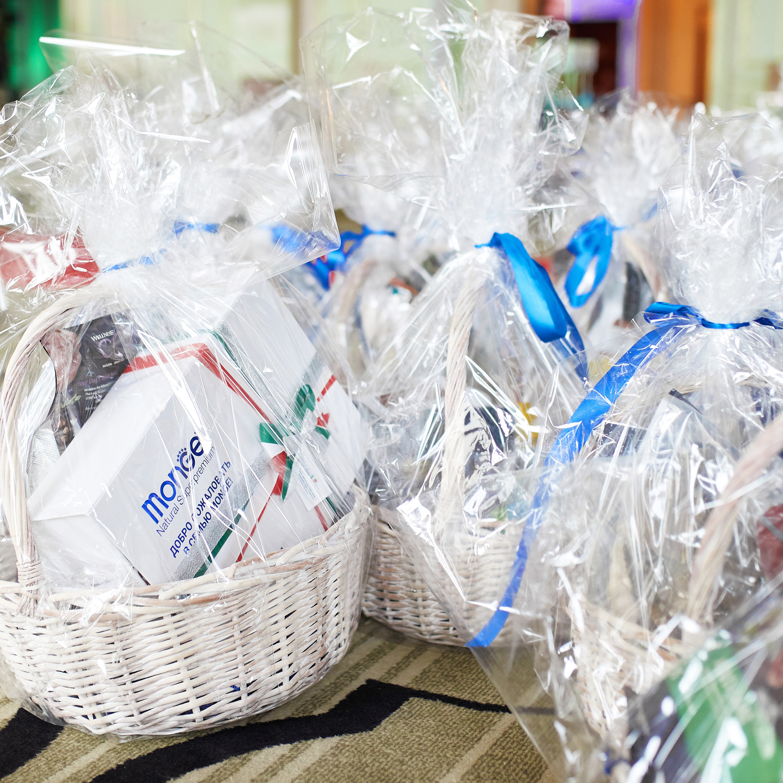 Репортаж с церемонии «BEST RUSSIAN DOG 2021». ФОТОГРАФ-АНИМАЛИСТ l LANA POLYAKOVA