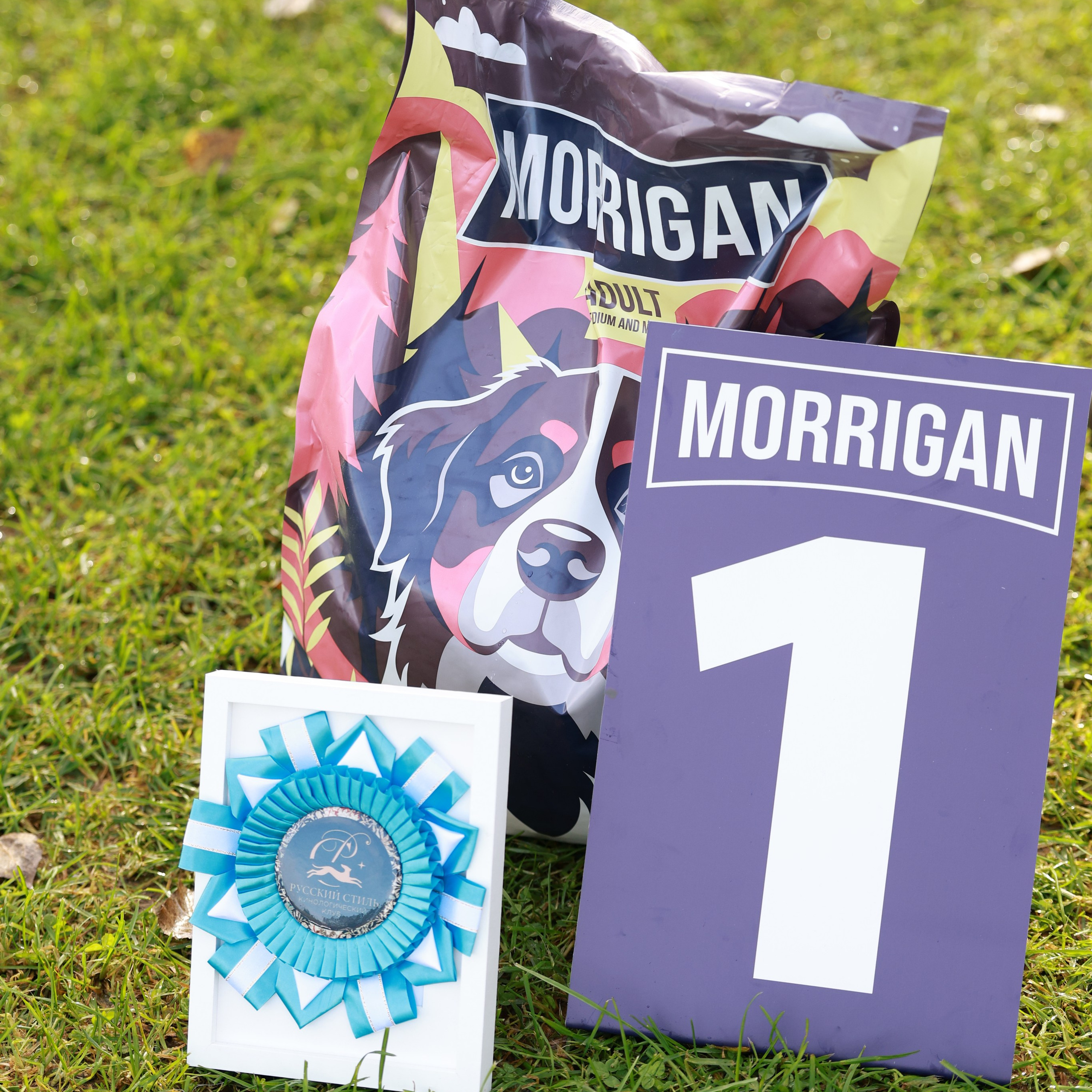 27-28.09.2025 ВЫСТАВКИ СОБАК ВСЕХ ПОРОД (САС, ЧРКФ, ЧФ). ФОТОГРАФ-АНИМАЛИСТ l LANA POLYAKOVA