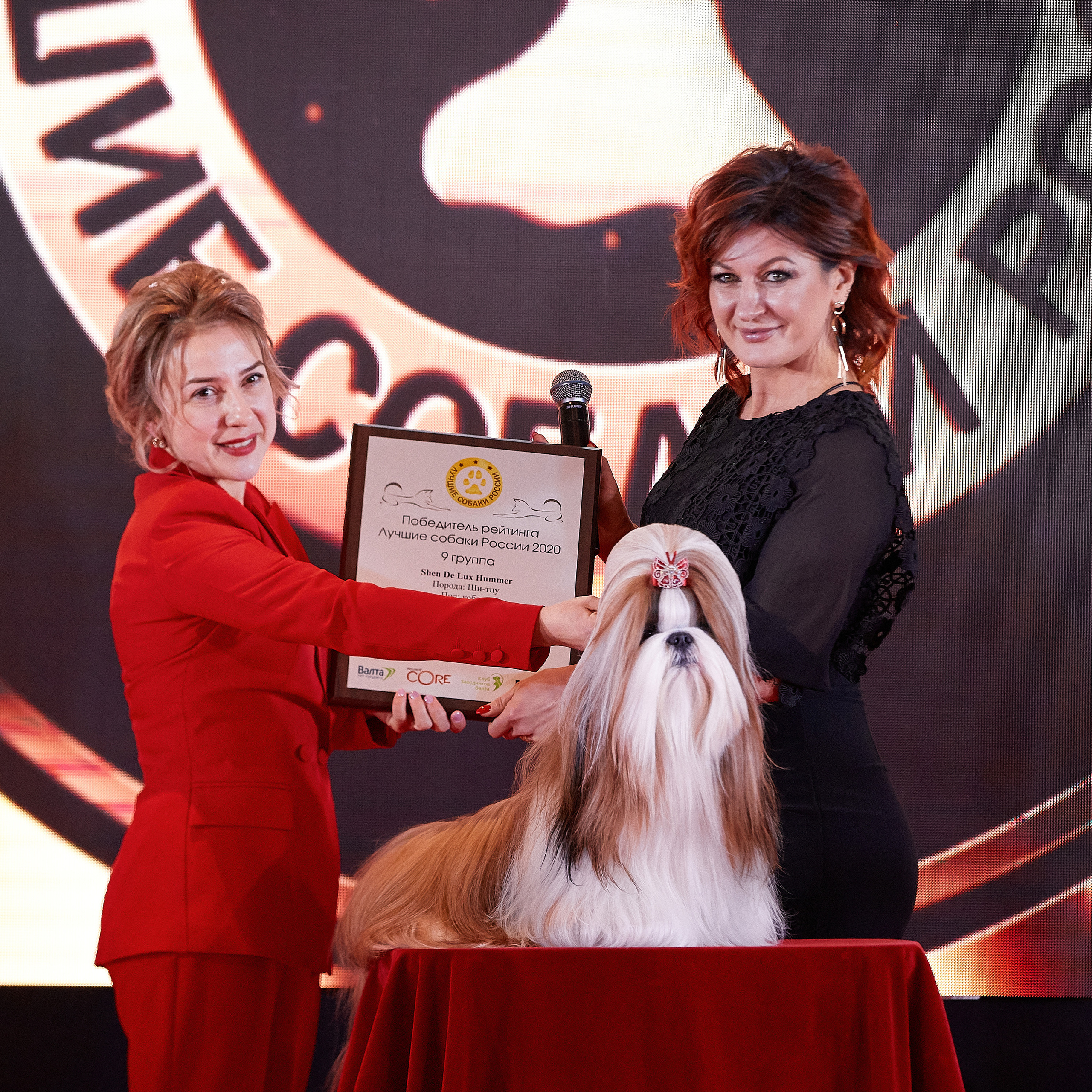 НАГРАЖДЕНИЕ ПОБЕДИТЕЛЕЙ РЕЙТИНГА «BEST RUSSIAN DOG» 2020. ФОТОГРАФ-АНИМАЛИСТ l LANA POLYAKOVA