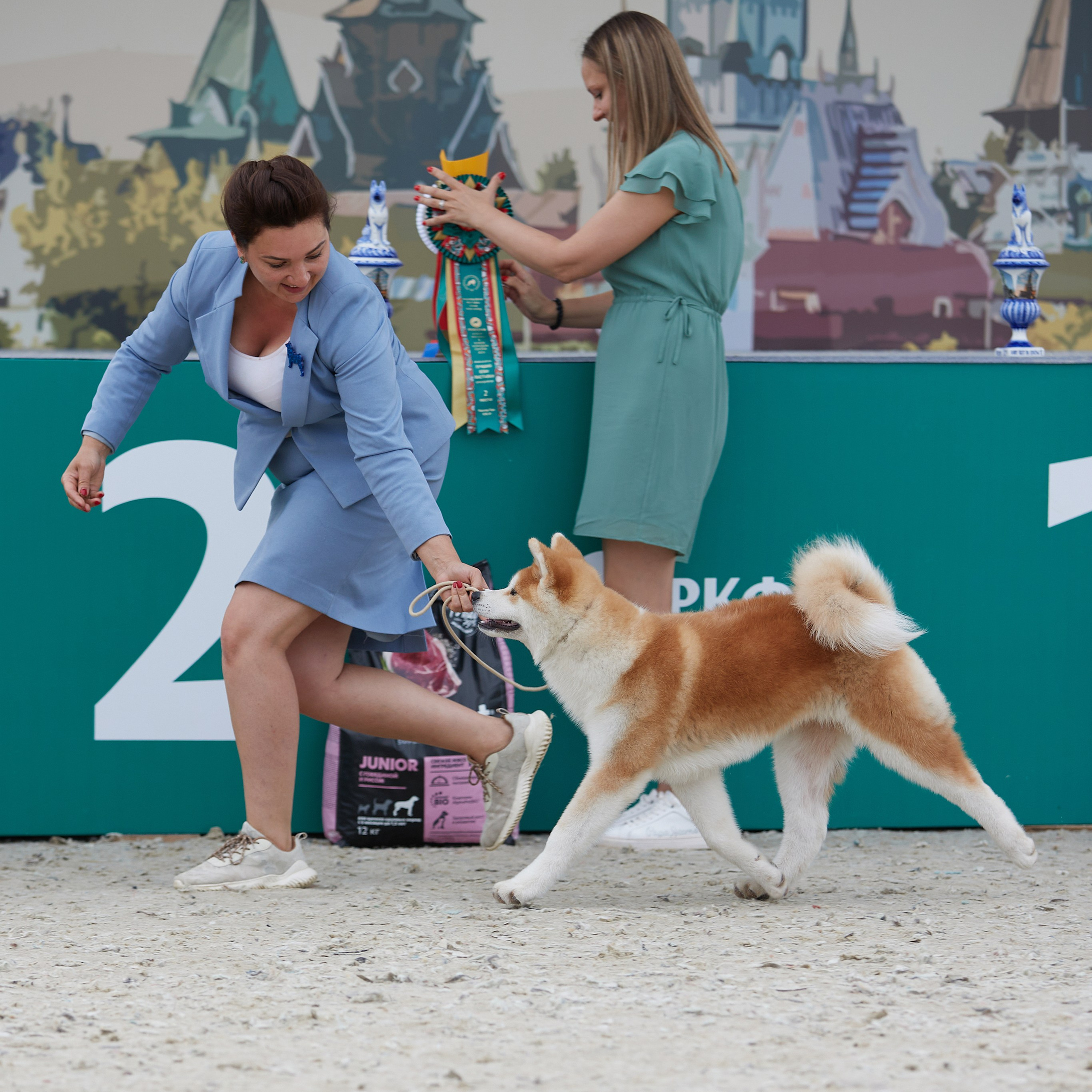 «Россия. Кубок РКФ 2024» и «Россия. Кубок Москвы 2024». ФОТОГРАФ-АНИМАЛИСТ l LANA POLYAKOVA