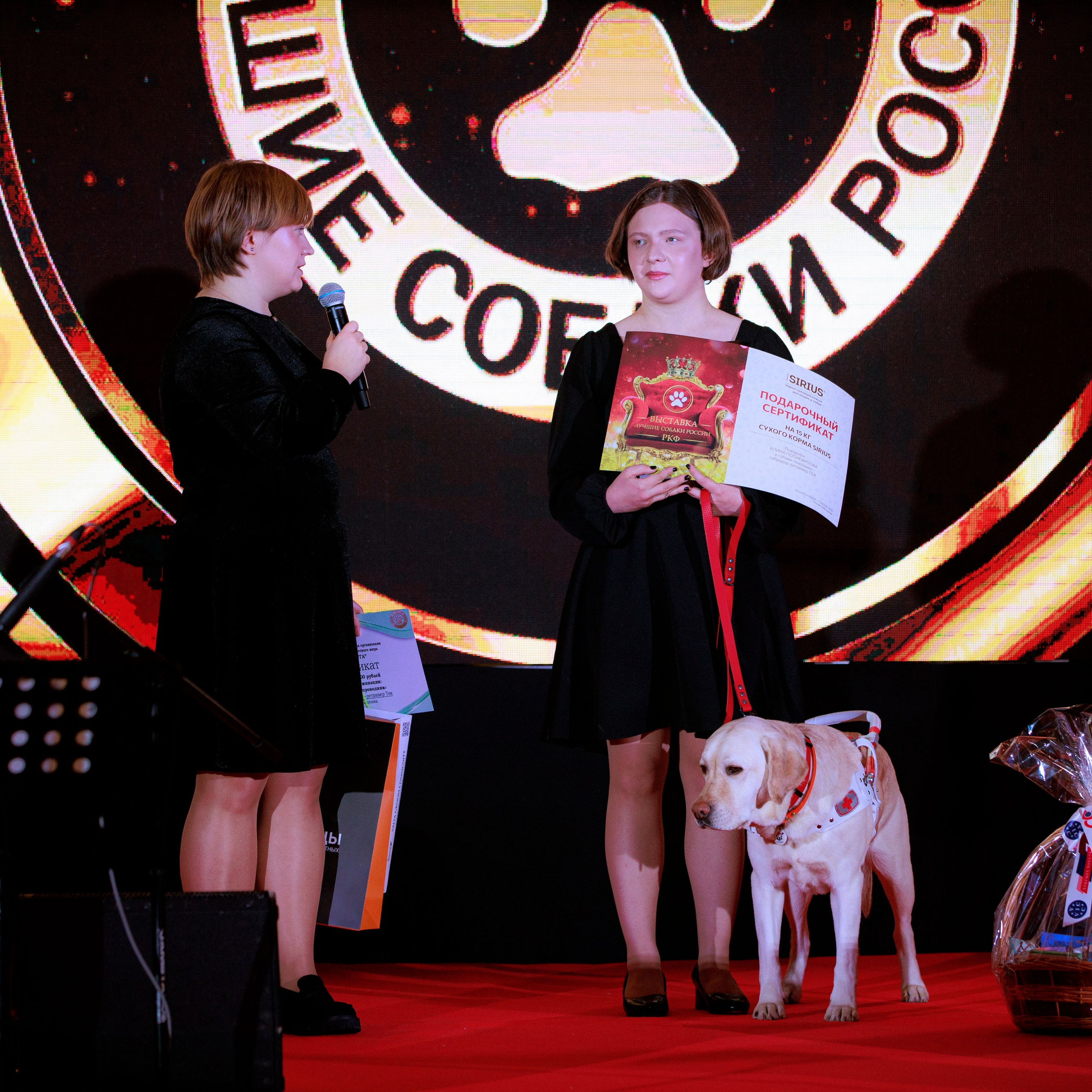 Репортаж с церемонии «BEST RUSSIAN DOG 2024». ФОТОГРАФ-АНИМАЛИСТ l LANA POLYAKOVA