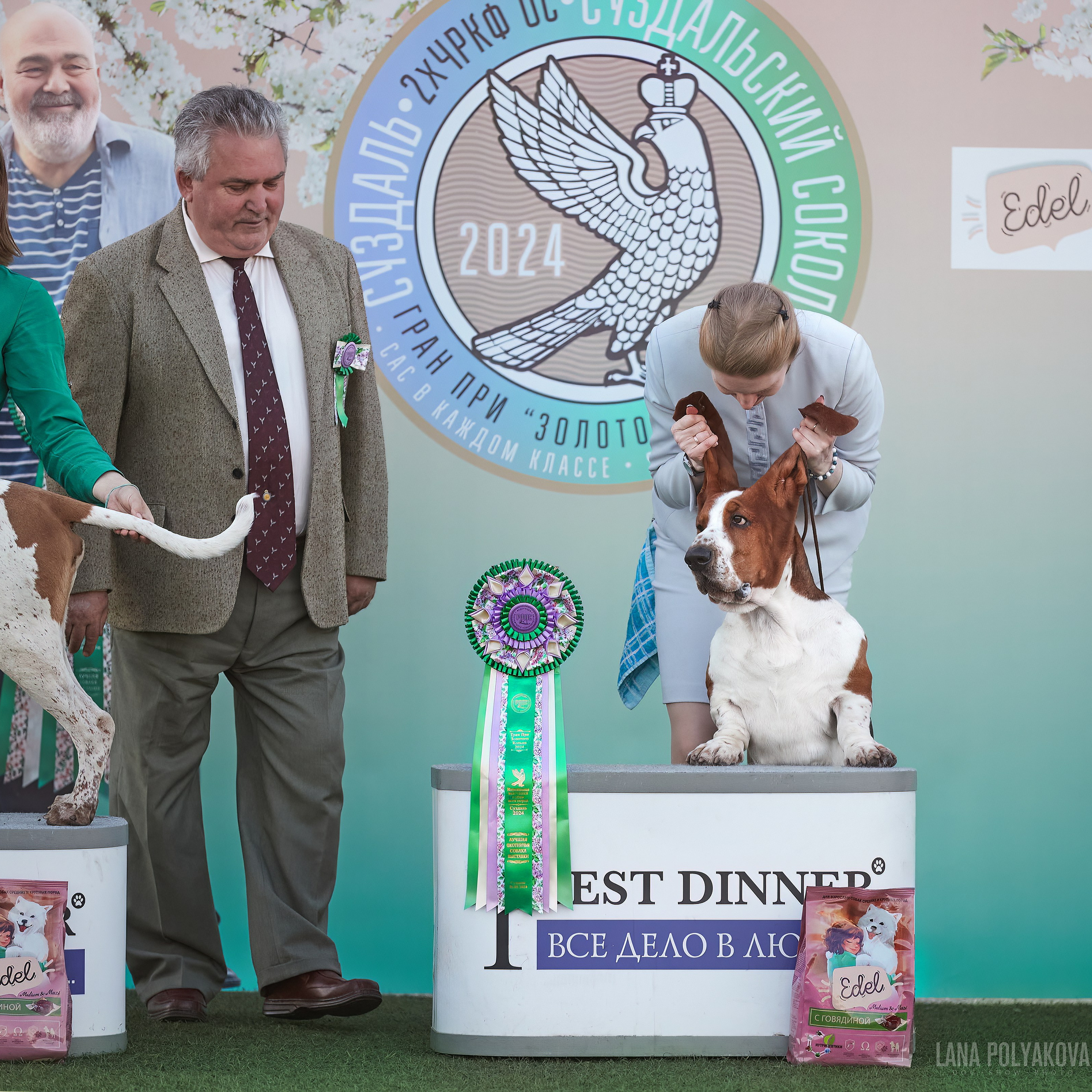 Отгремела «Суздаль-2024». ФОТОГРАФ-АНИМАЛИСТ l LANA POLYAKOVA