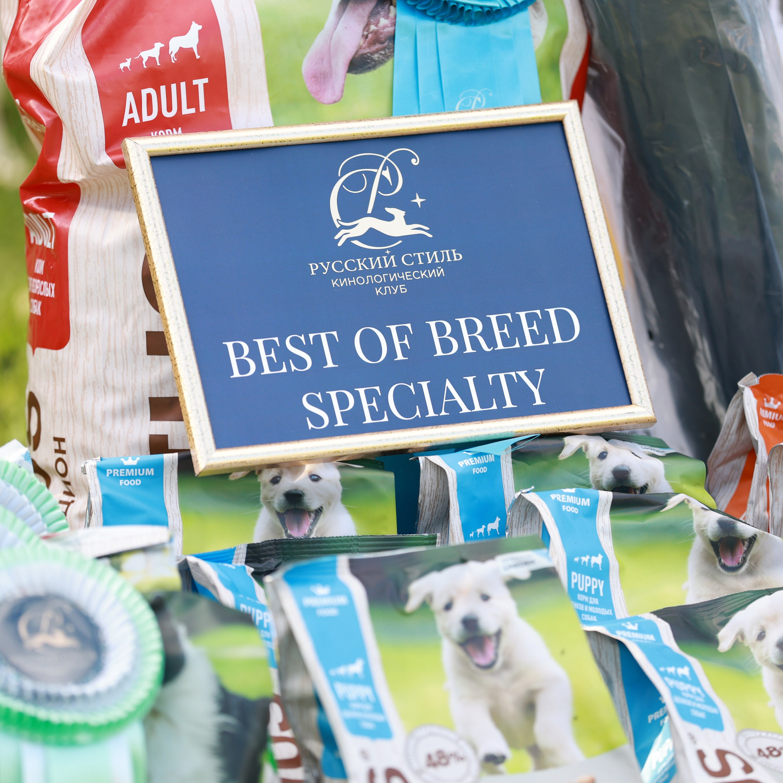 27-28.09.2025 ВЫСТАВКИ СОБАК ВСЕХ ПОРОД (САС, ЧРКФ, ЧФ). ФОТОГРАФ-АНИМАЛИСТ l LANA POLYAKOVA
