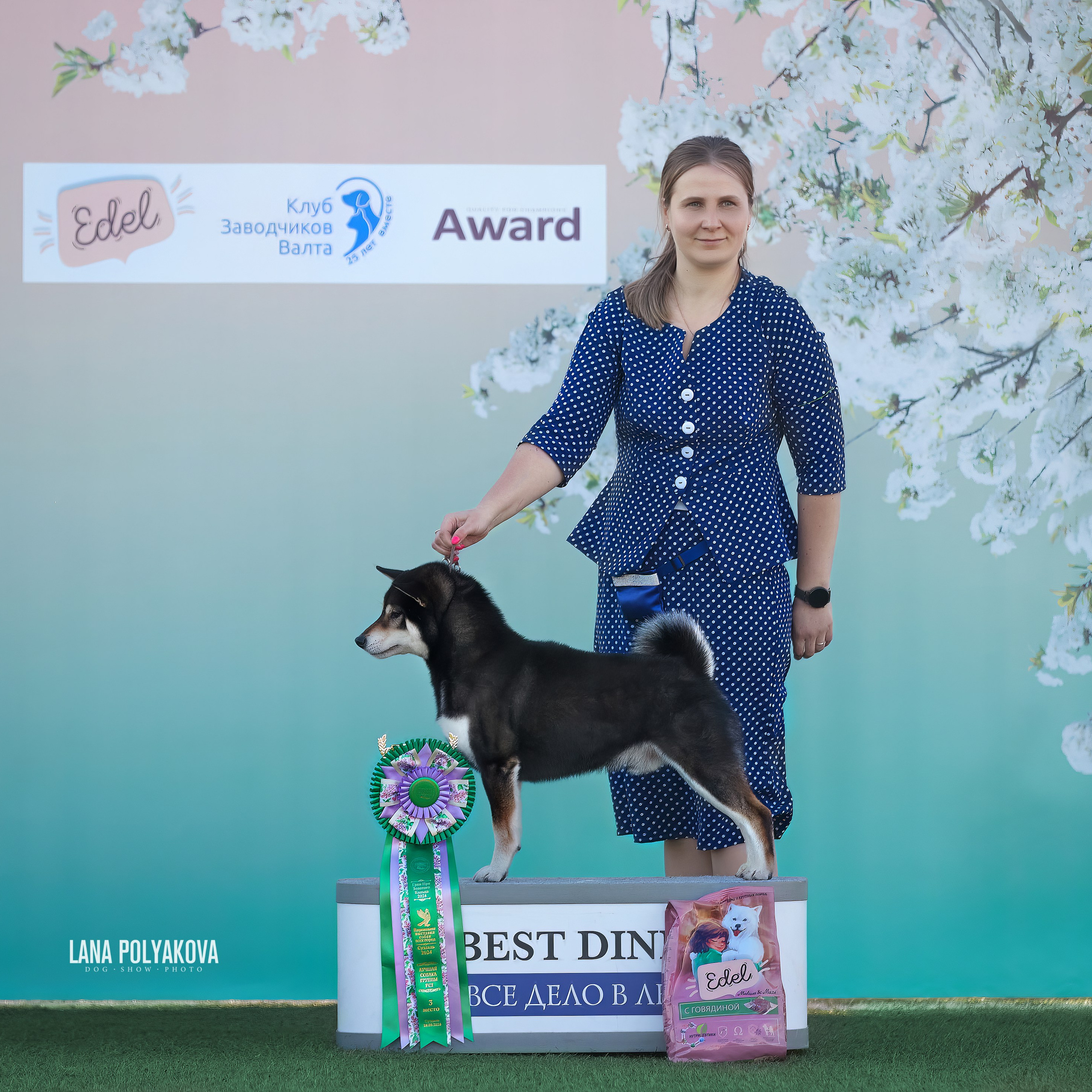 Отгремела «Суздаль-2024». ФОТОГРАФ-АНИМАЛИСТ l LANA POLYAKOVA