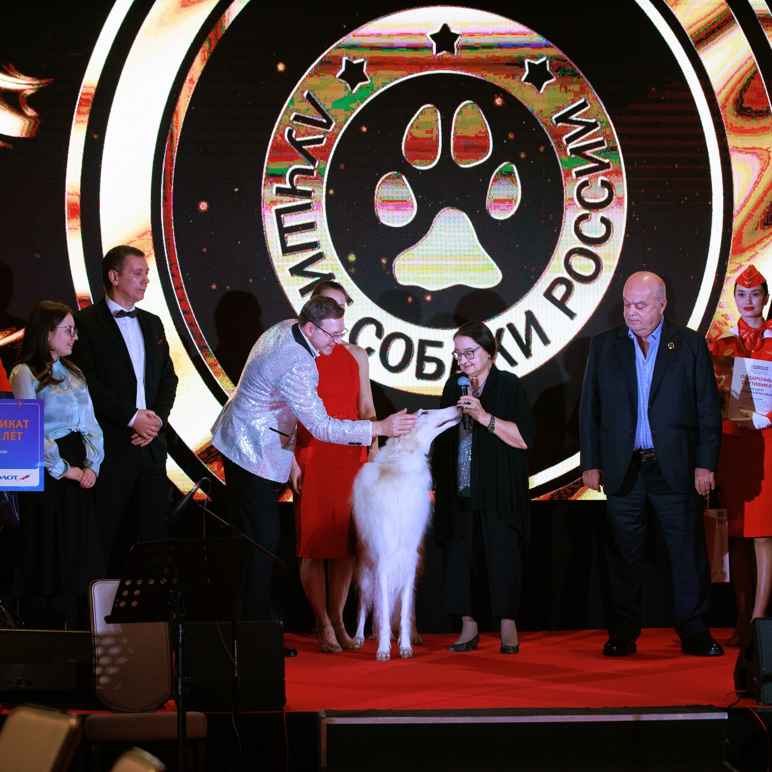 Репортаж с церемонии «BEST RUSSIAN DOG 2024». ФОТОГРАФ-АНИМАЛИСТ l LANA POLYAKOVA