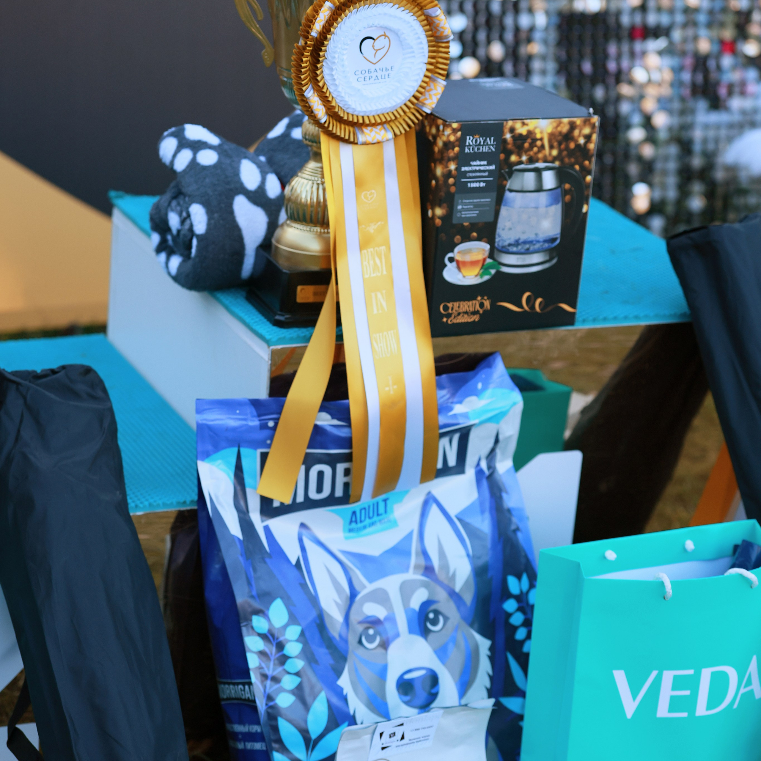 27-28.09.2025 ВЫСТАВКИ СОБАК ВСЕХ ПОРОД (САС, ЧРКФ, ЧФ). ФОТОГРАФ-АНИМАЛИСТ l LANA POLYAKOVA