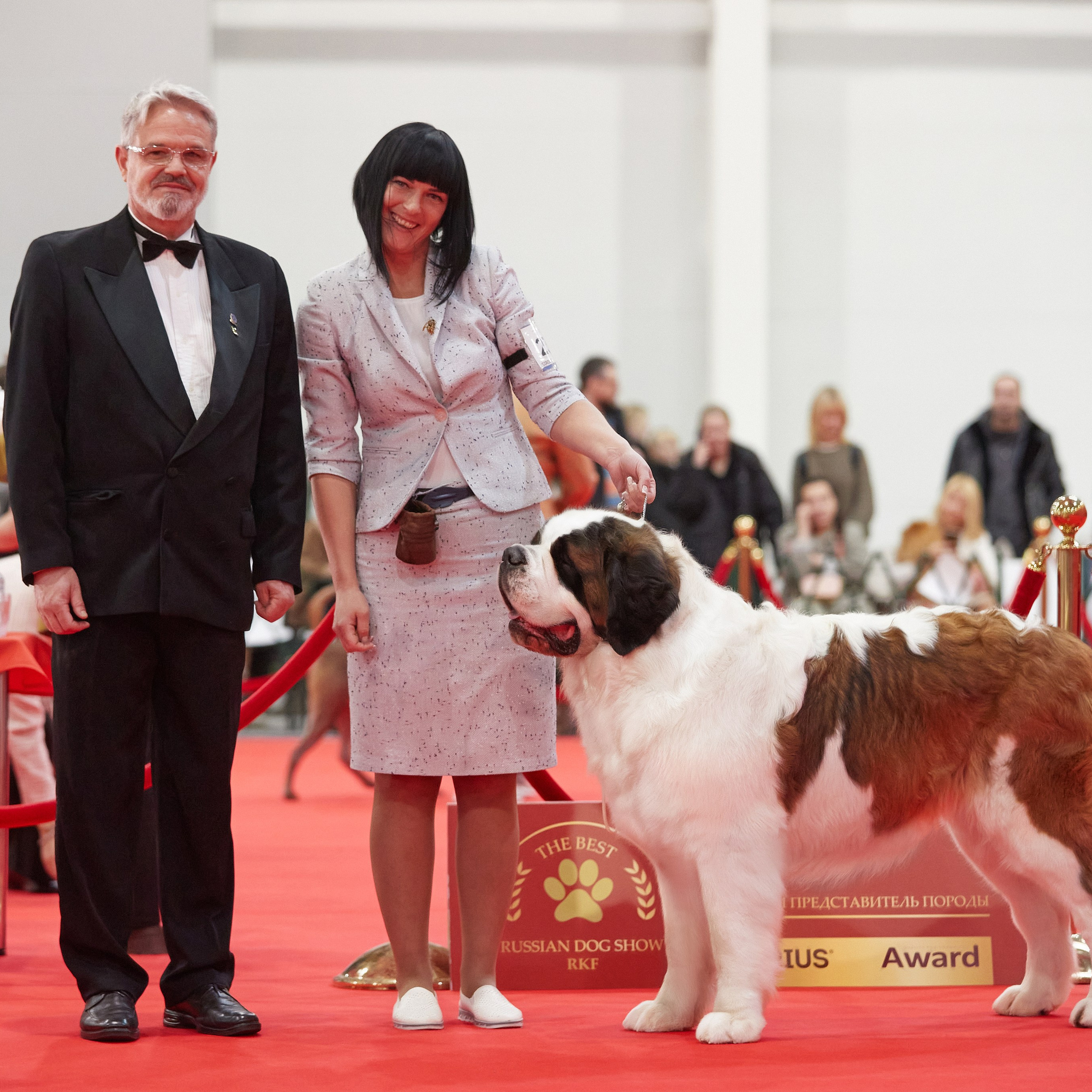 Новое шоу чемпионов «ЛУЧШИЕ СОБАКИ РОССИИ». ФОТОГРАФ-АНИМАЛИСТ l LANA POLYAKOVA