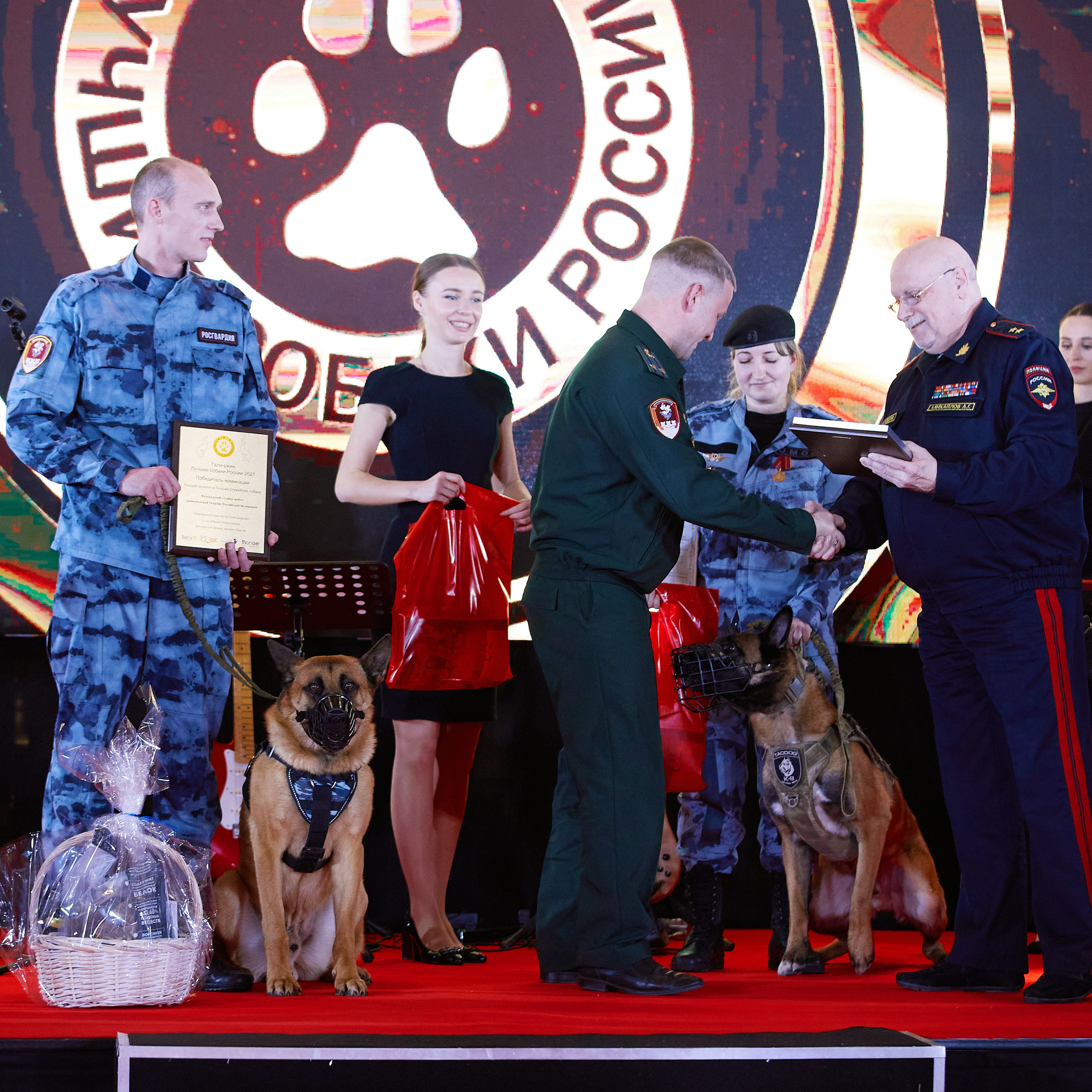 Репортаж с церемонии «BEST RUSSIAN DOG 2021». ФОТОГРАФ-АНИМАЛИСТ l LANA POLYAKOVA