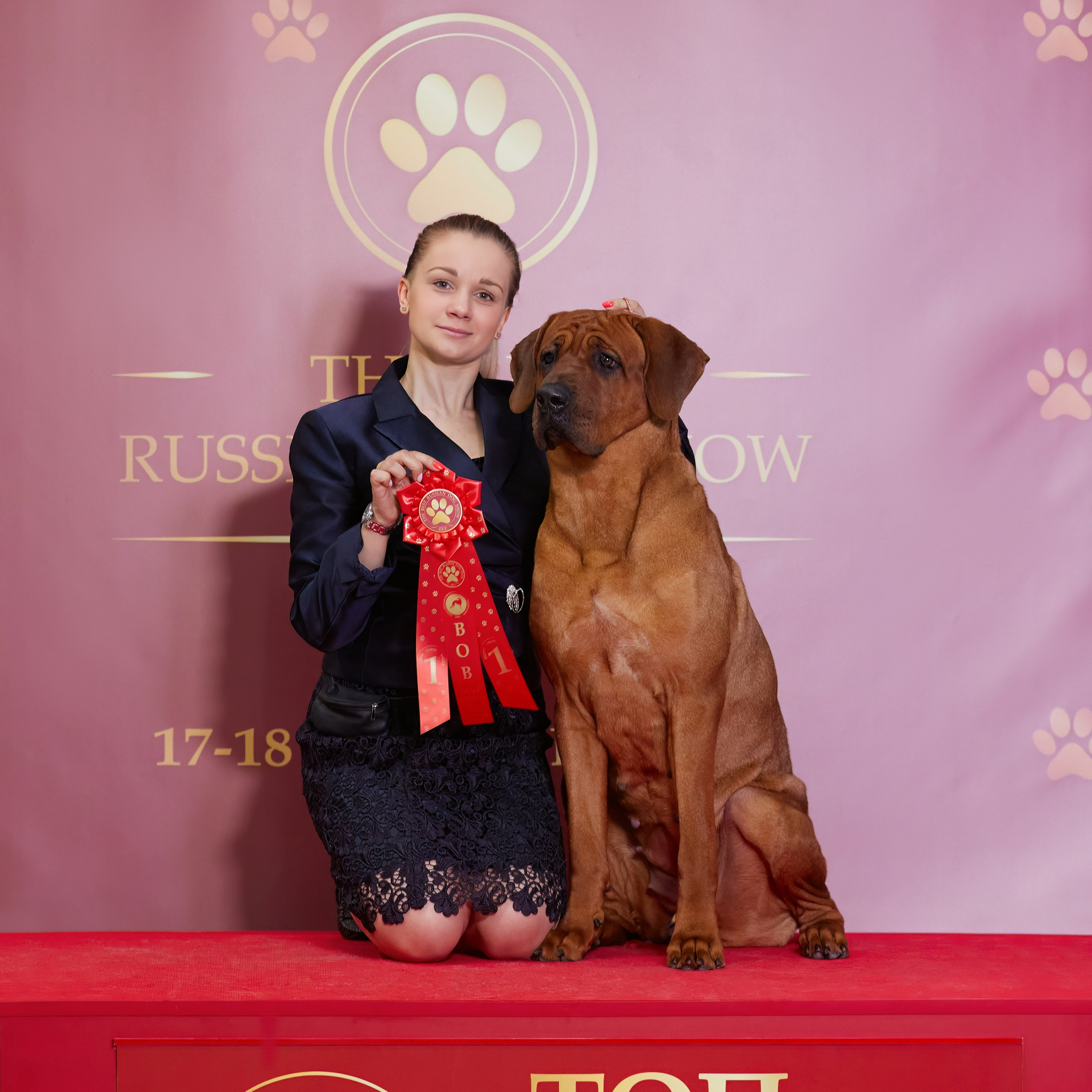 Новое шоу чемпионов «ЛУЧШИЕ СОБАКИ РОССИИ». ФОТОГРАФ-АНИМАЛИСТ l LANA POLYAKOVA
