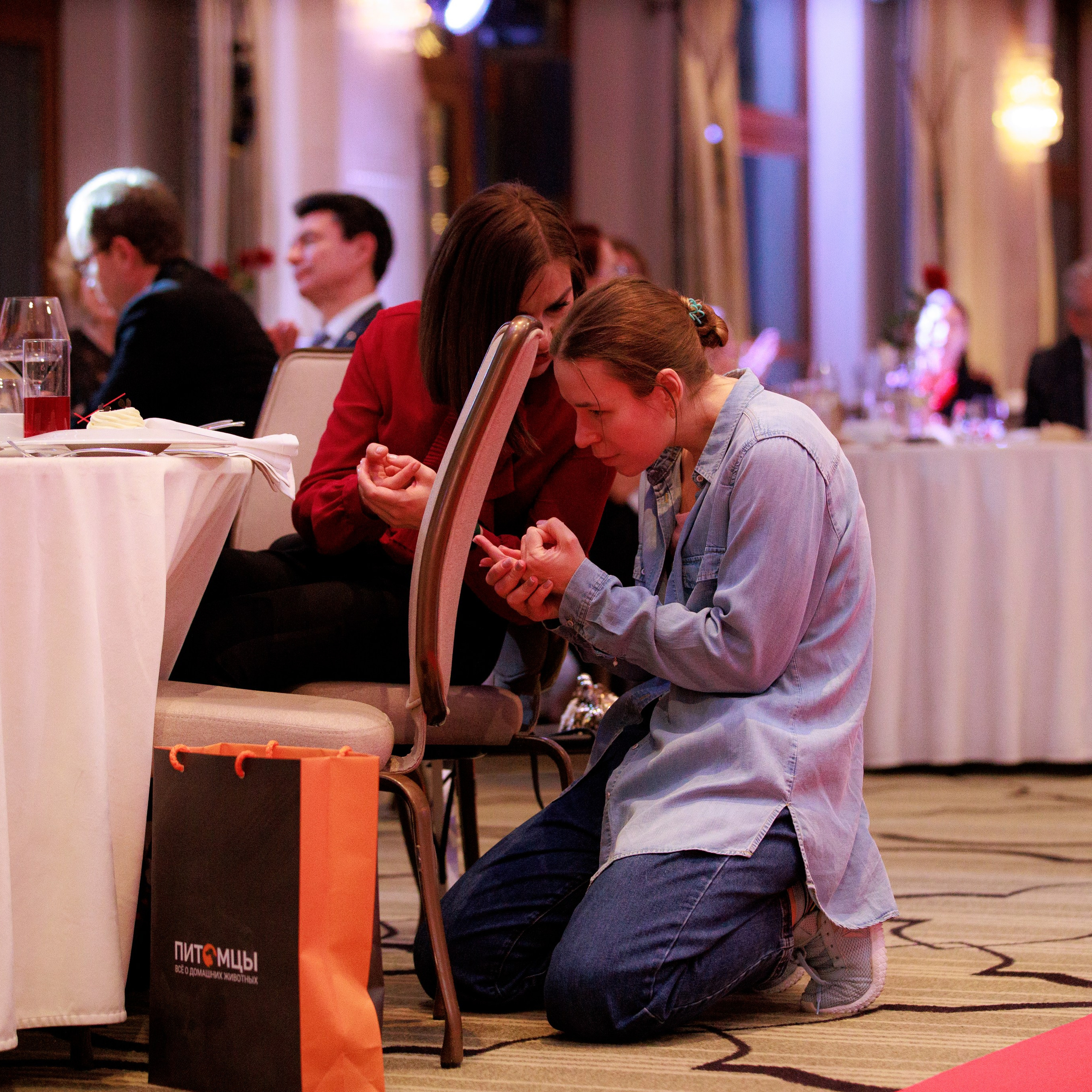 Репортаж с церемонии «BEST RUSSIAN DOG 2024». ФОТОГРАФ-АНИМАЛИСТ l LANA POLYAKOVA