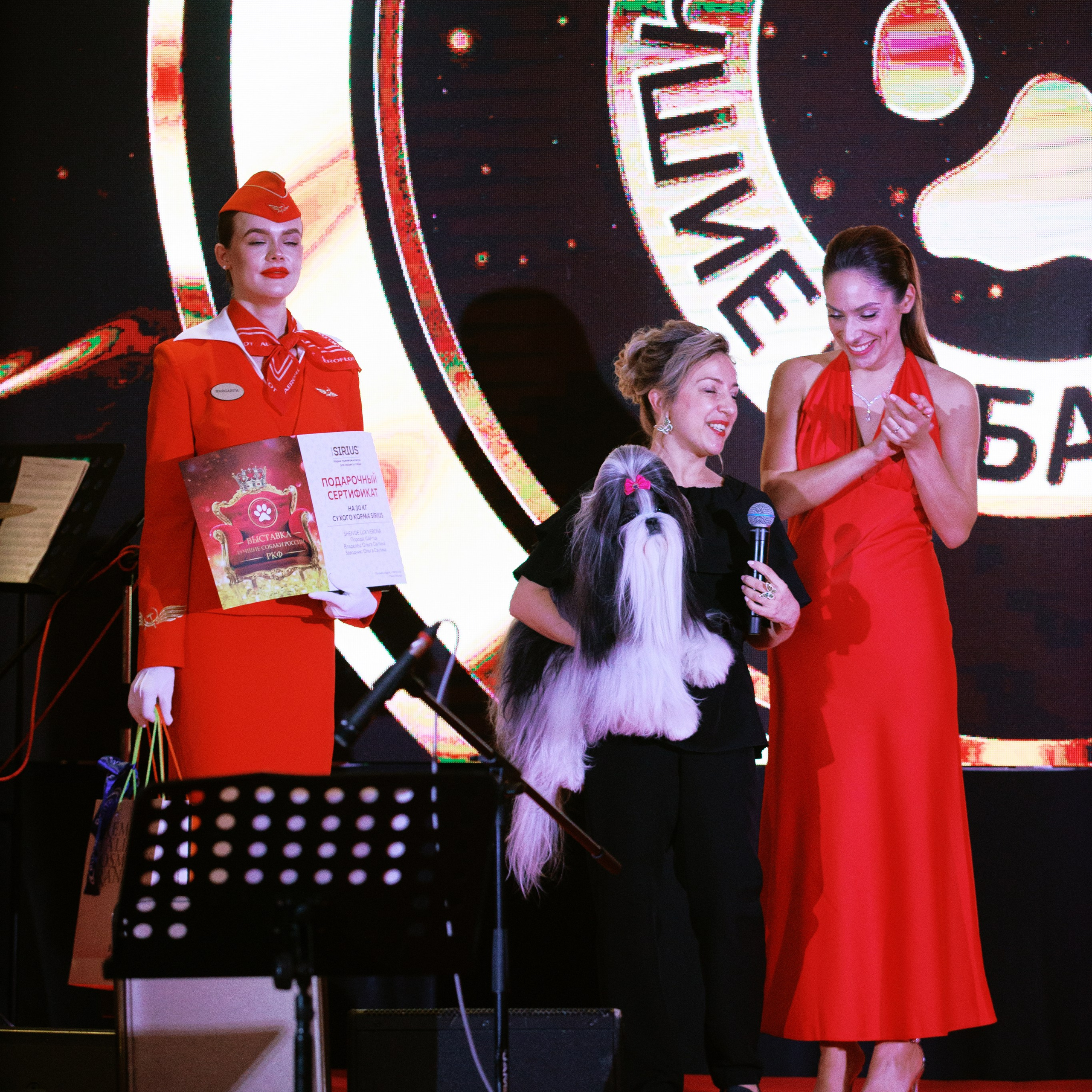 Репортаж с церемонии «BEST RUSSIAN DOG 2024». ФОТОГРАФ-АНИМАЛИСТ l LANA POLYAKOVA
