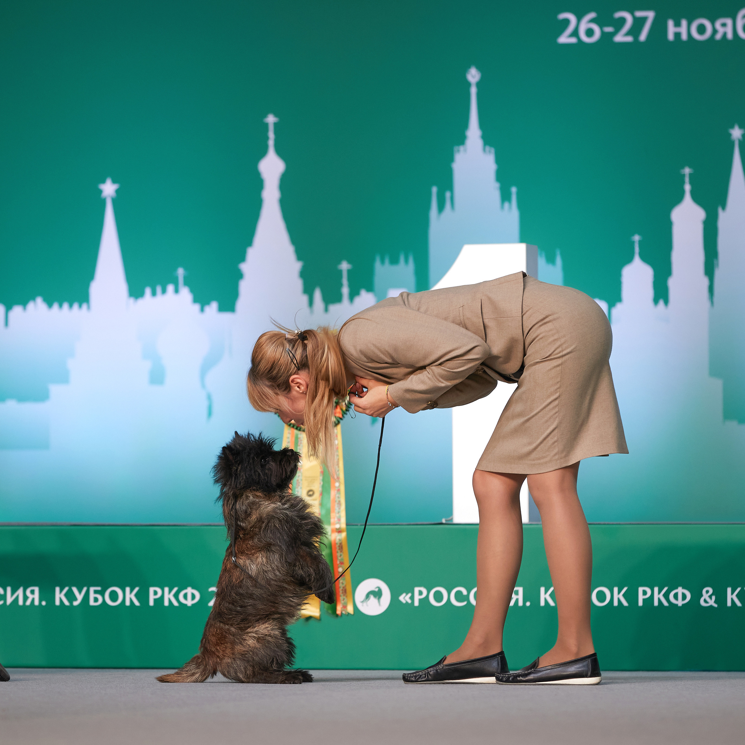 «Россия» в Крокусе. ФОТОГРАФ-АНИМАЛИСТ l LANA POLYAKOVA