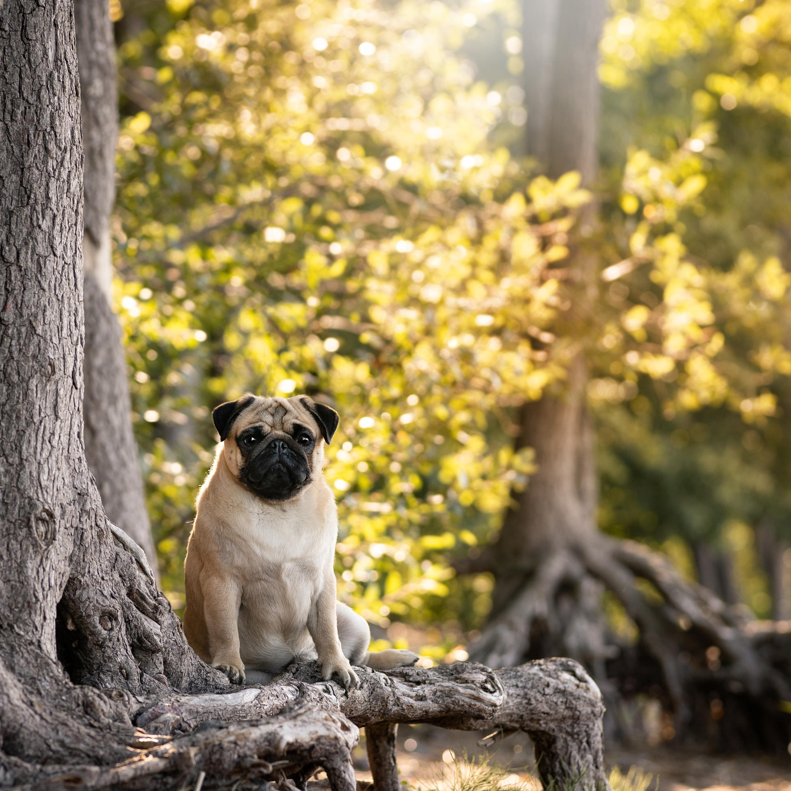 WORK-SHOP 16.07.23 завершён. ФОТОГРАФ-АНИМАЛИСТ l LANA POLYAKOVA