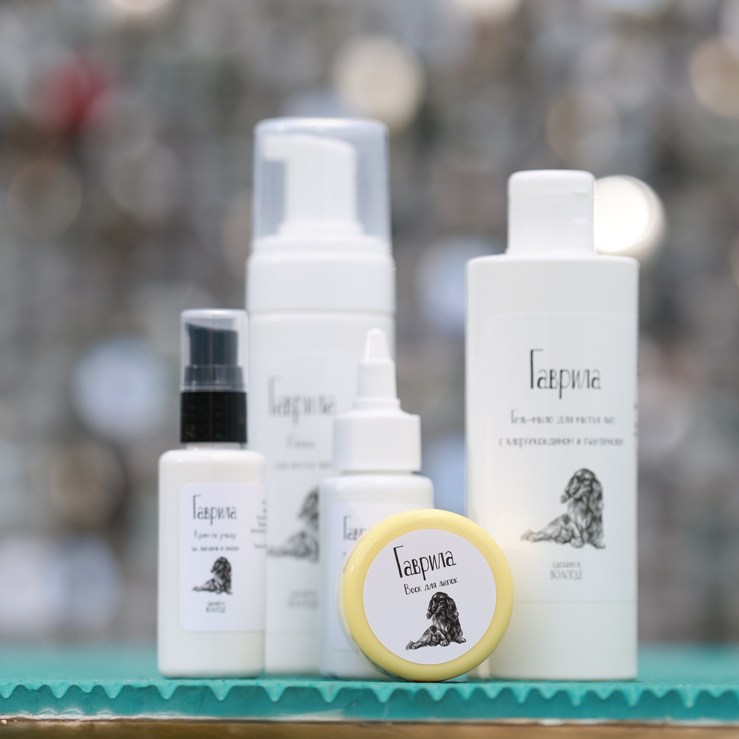 27-28.09.2025 ВЫСТАВКИ СОБАК ВСЕХ ПОРОД (САС, ЧРКФ, ЧФ). ФОТОГРАФ-АНИМАЛИСТ l LANA POLYAKOVA