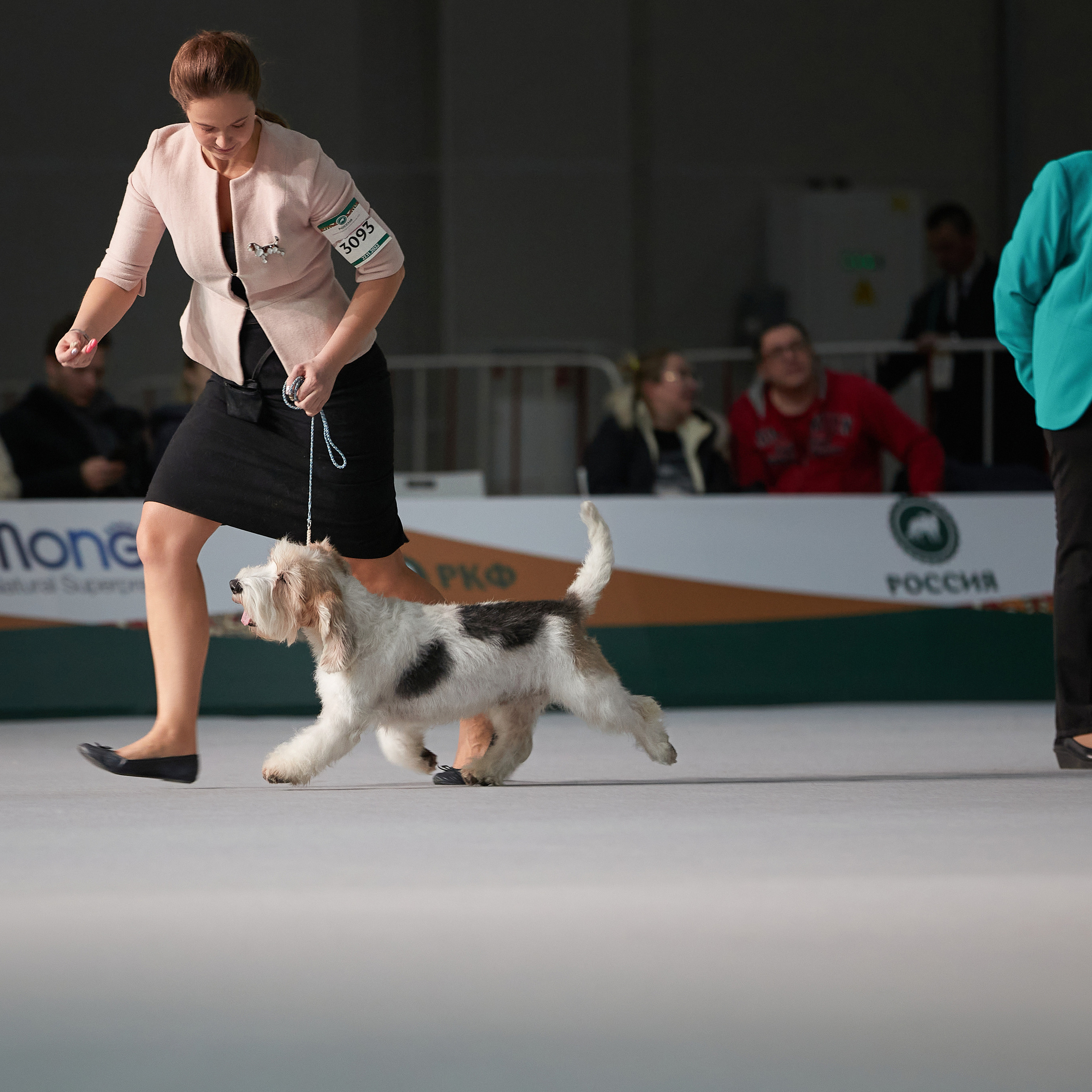 «Россия» в Крокусе. ФОТОГРАФ-АНИМАЛИСТ l LANA POLYAKOVA