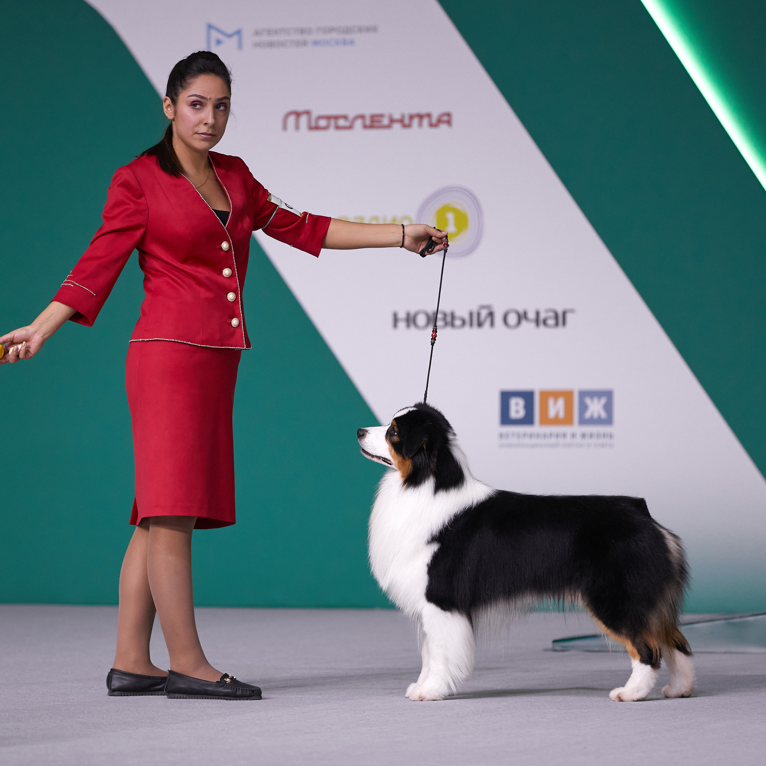 «Россия» в Крокусе. ФОТОГРАФ-АНИМАЛИСТ l LANA POLYAKOVA