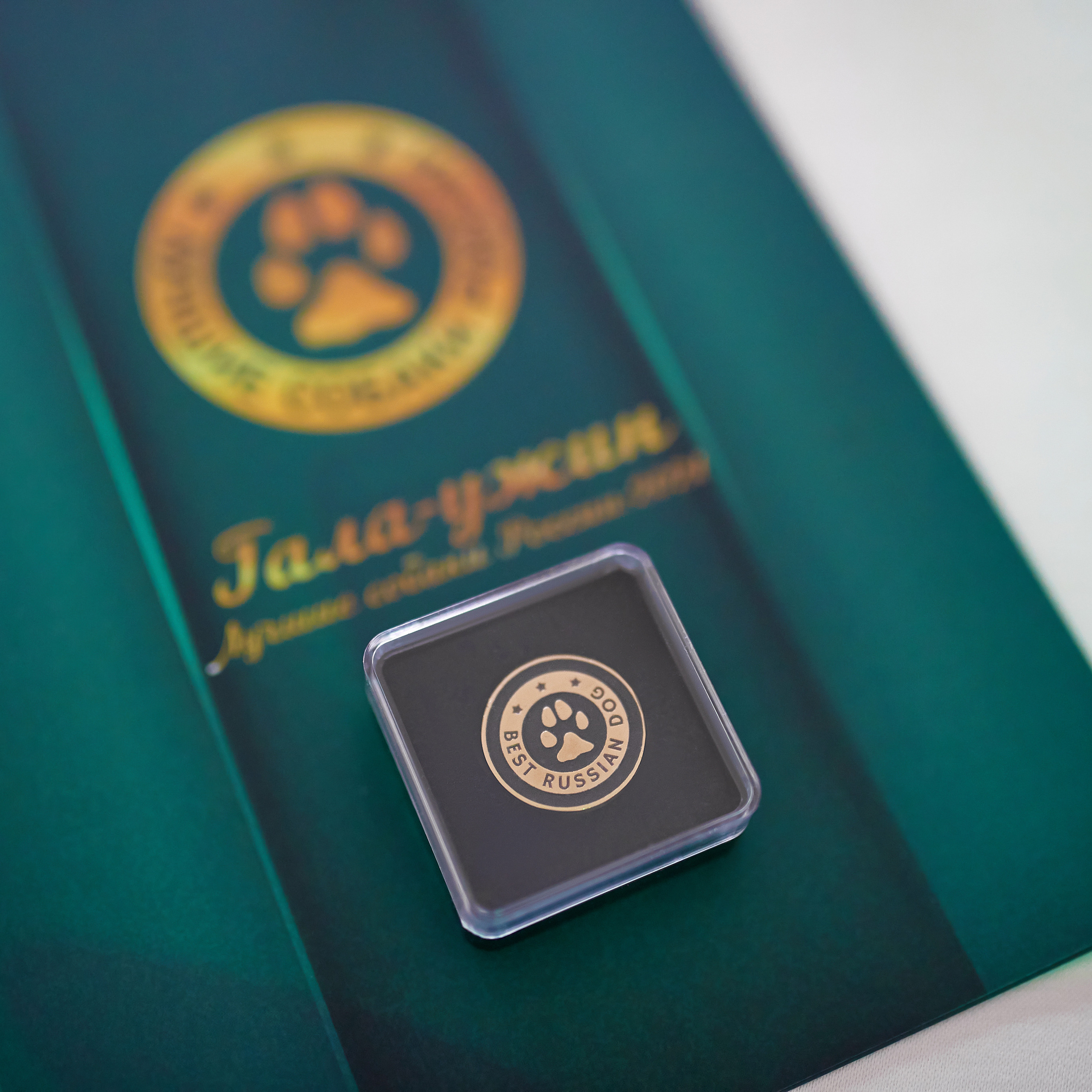 Репортаж с церемонии «BEST RUSSIAN DOG 2021». ФОТОГРАФ-АНИМАЛИСТ l LANA POLYAKOVA