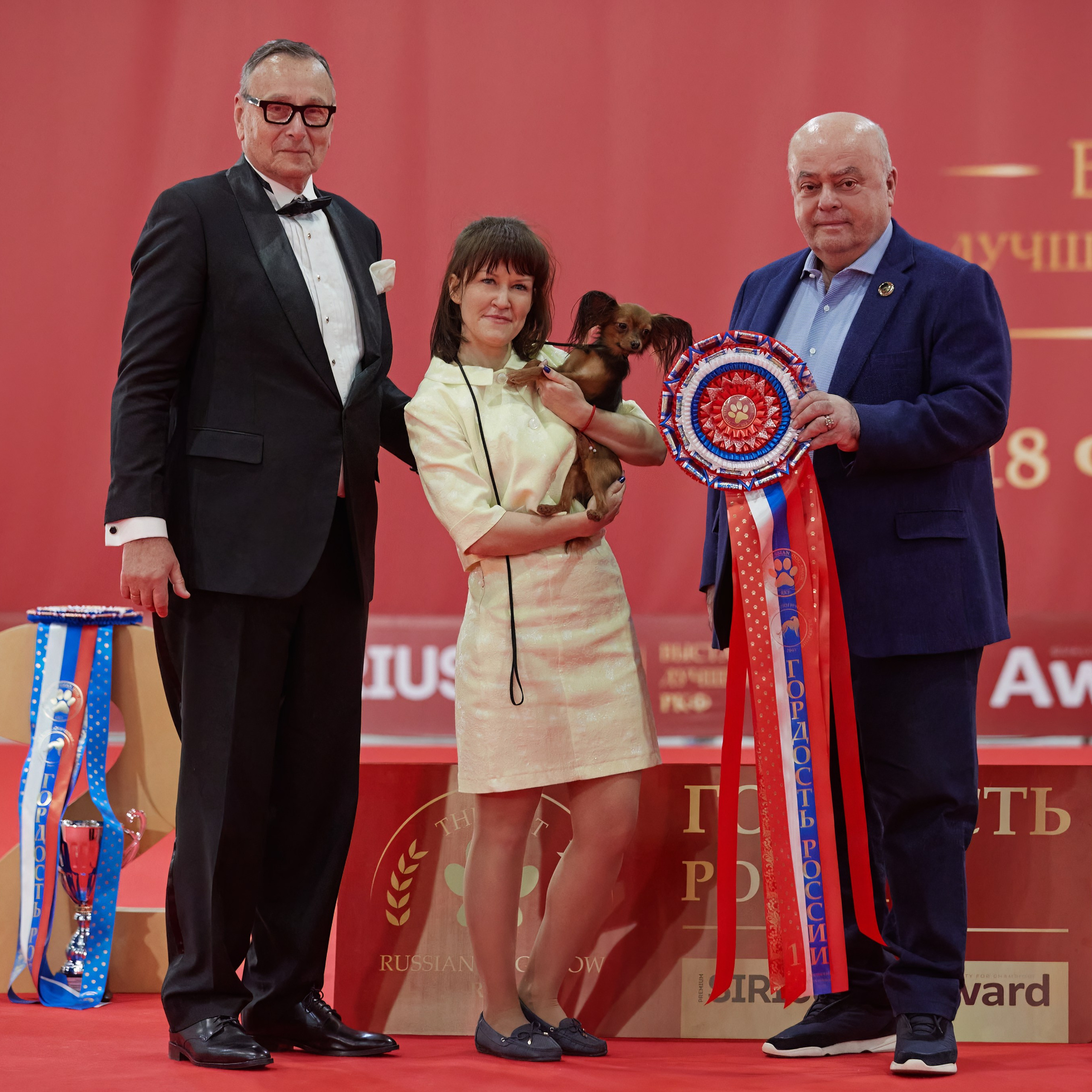 Новое шоу чемпионов «ЛУЧШИЕ СОБАКИ РОССИИ». ФОТОГРАФ-АНИМАЛИСТ l LANA POLYAKOVA