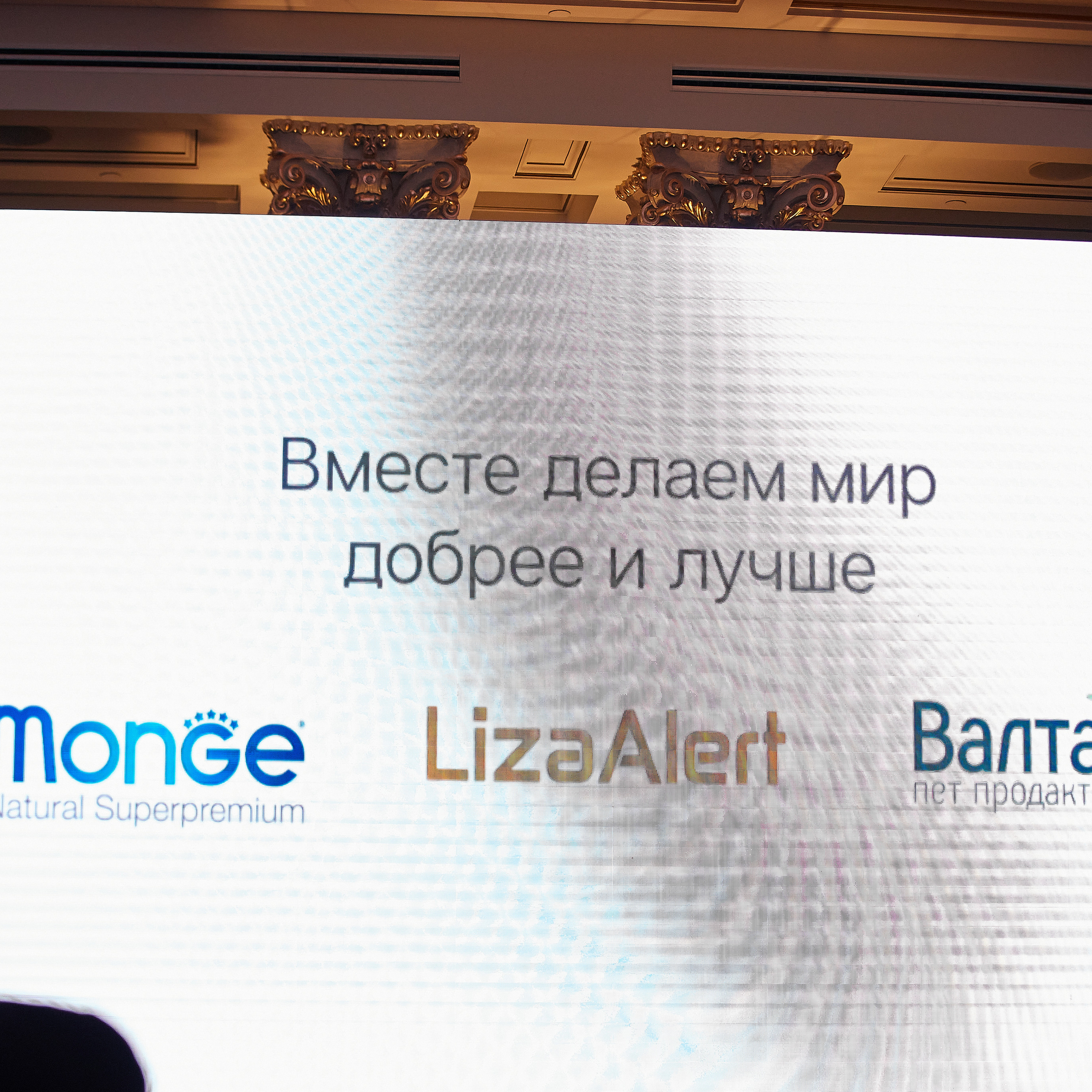 НАГРАЖДЕНИЕ ПОБЕДИТЕЛЕЙ РЕЙТИНГА «BEST RUSSIAN DOG» 2020. ФОТОГРАФ-АНИМАЛИСТ l LANA POLYAKOVA