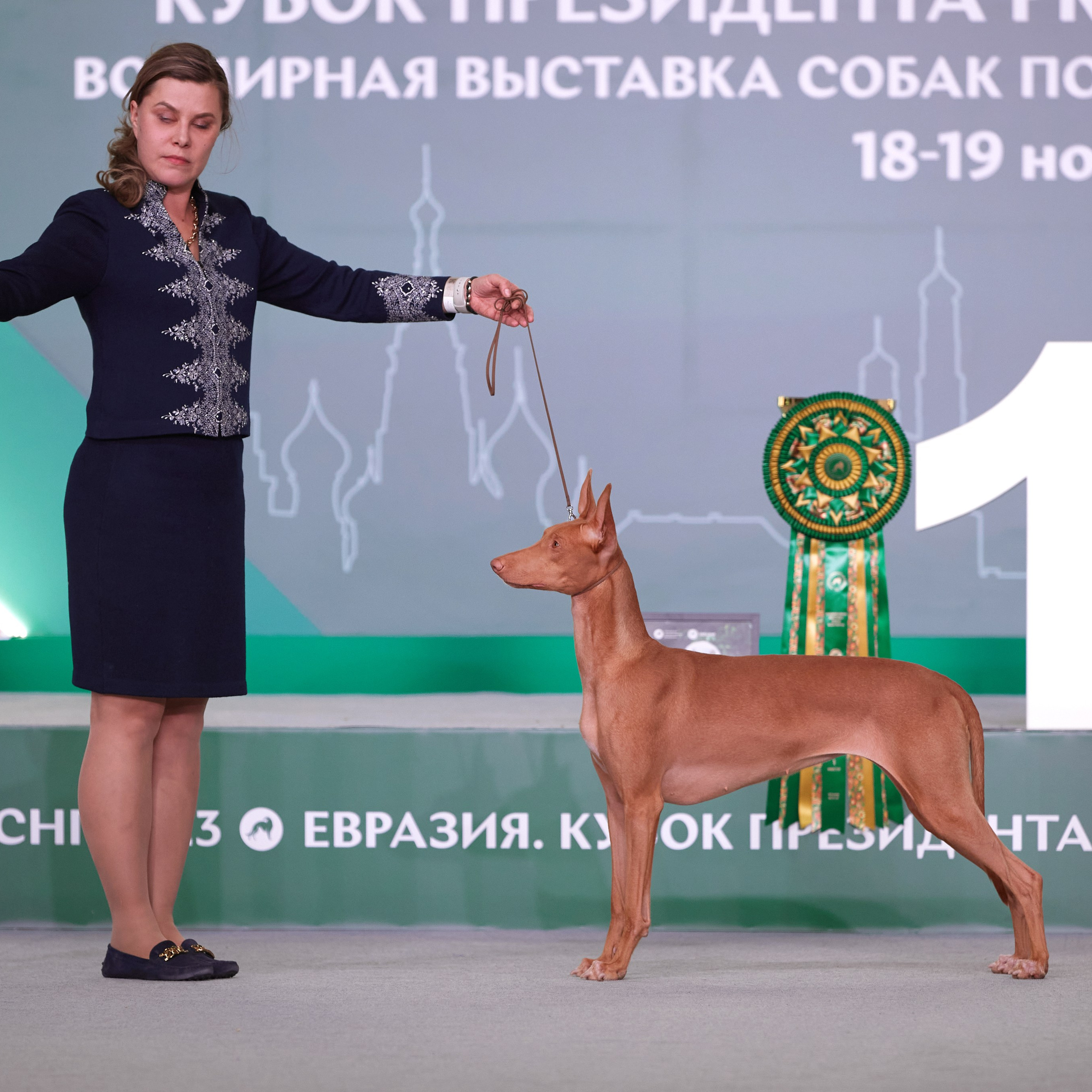 «ЕВРАЗИЯ — 2023» в Крокусе. ФОТОГРАФ-АНИМАЛИСТ l LANA POLYAKOVA