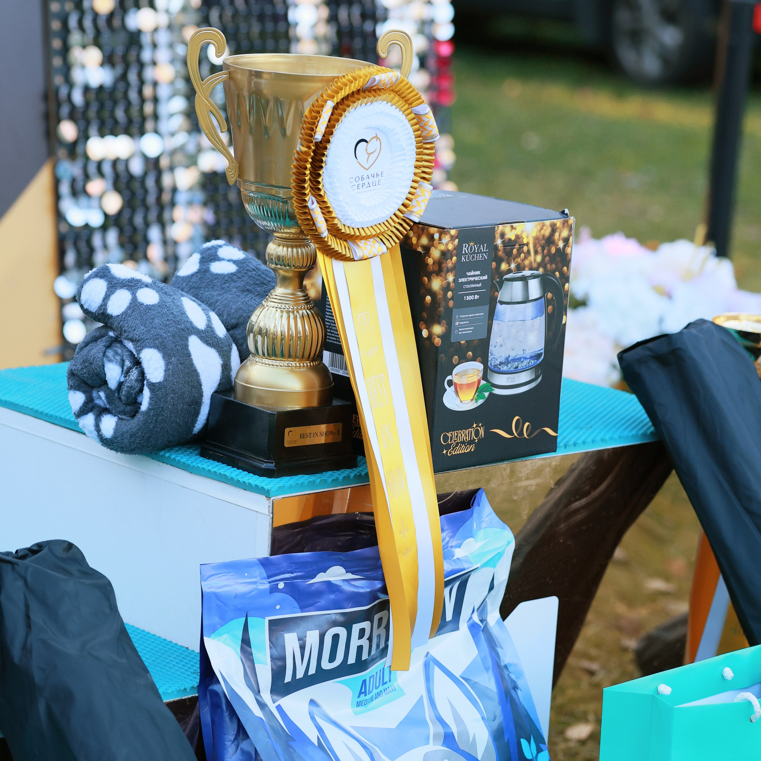 27-28.09.2025 ВЫСТАВКИ СОБАК ВСЕХ ПОРОД (САС, ЧРКФ, ЧФ). ФОТОГРАФ-АНИМАЛИСТ l LANA POLYAKOVA