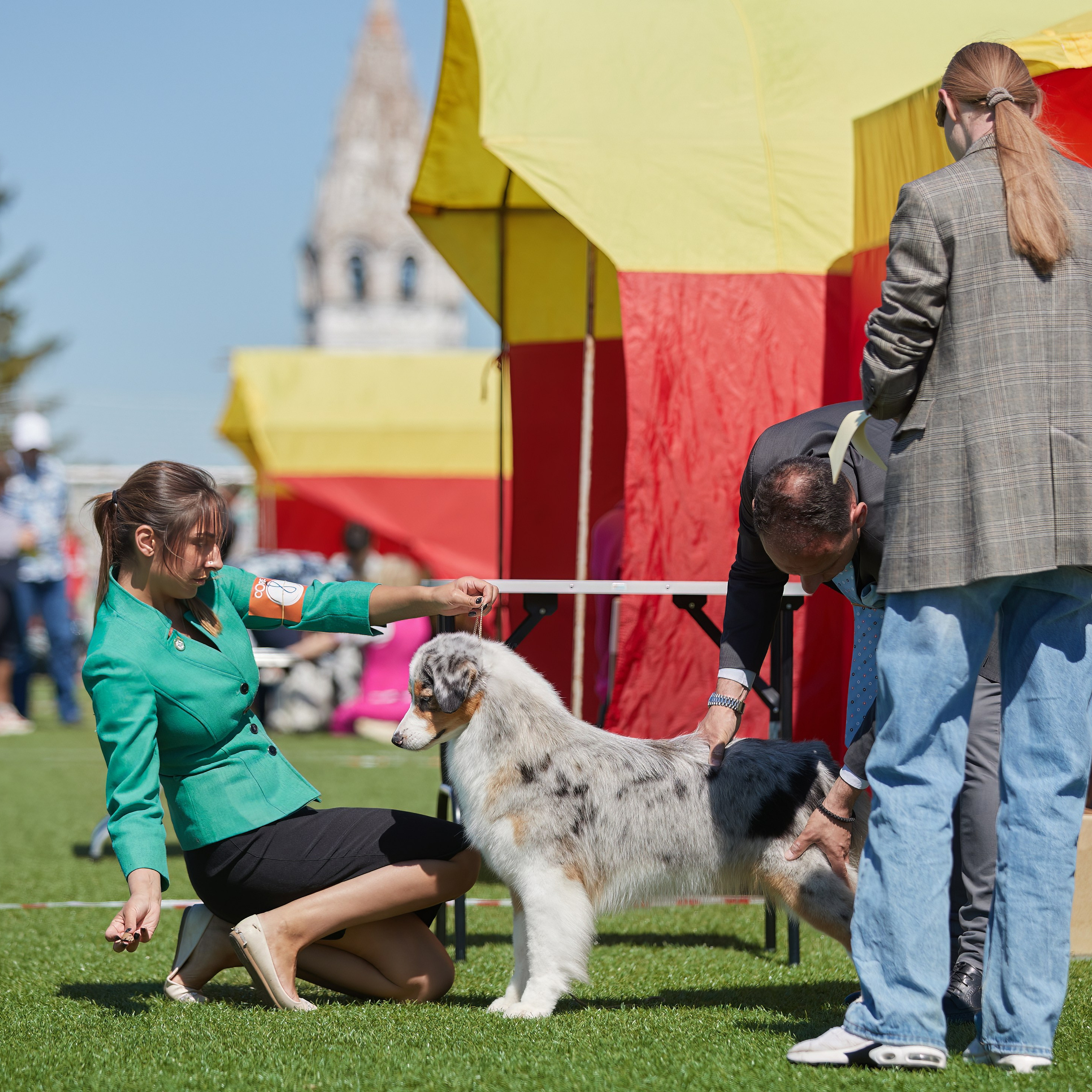 Отгремела «Суздаль-2024». ФОТОГРАФ-АНИМАЛИСТ l LANA POLYAKOVA
